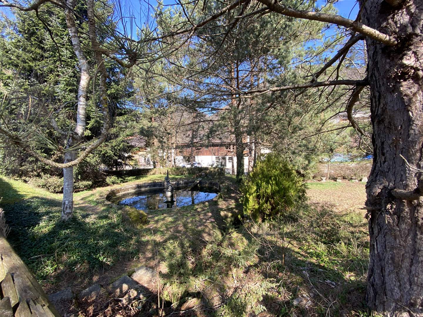 Garten mit Teich