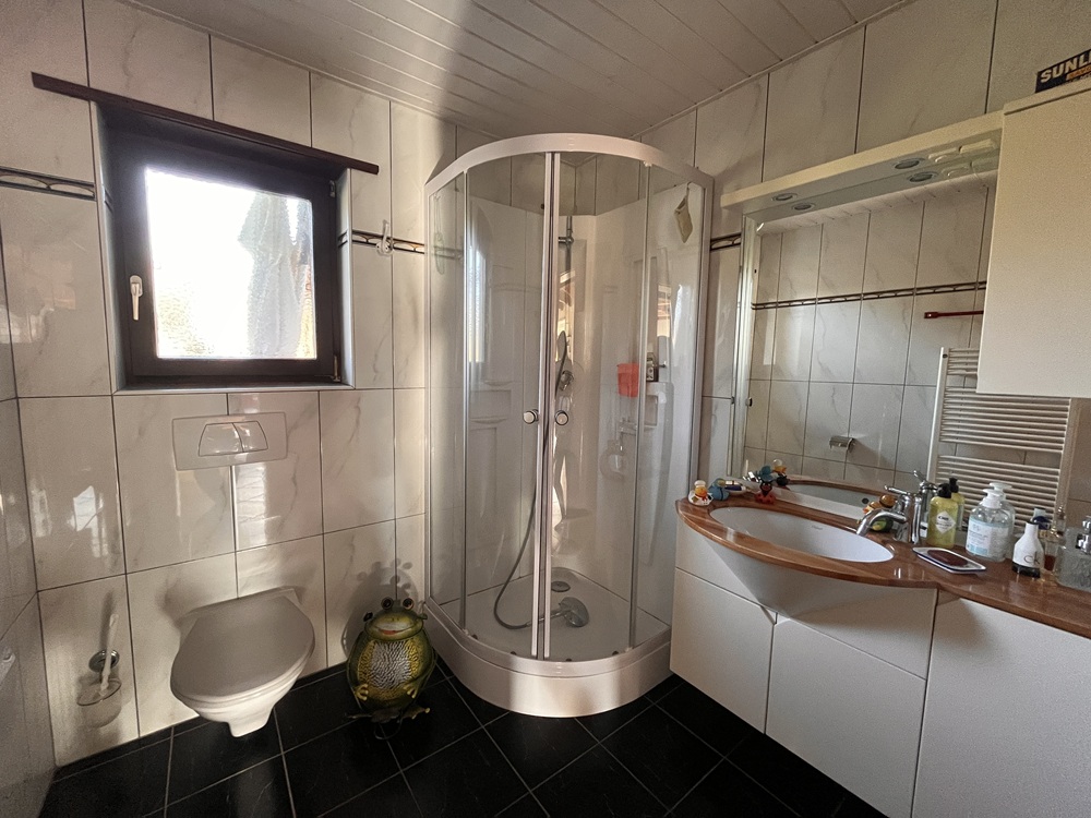Badezimmer mit Duschkabine und Waschtisch