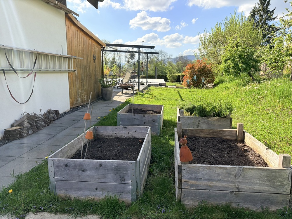 Garten mit Hochbeeten neben dem Haus