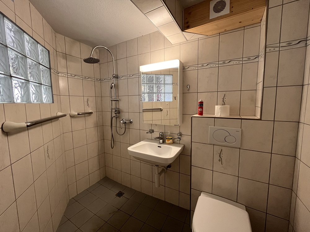 Kleines Badezimmer mit Dusche und WC