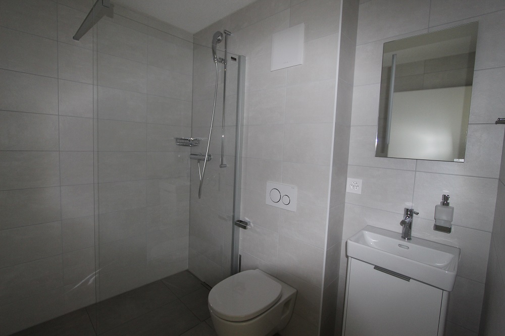 Modernes Badezimmer mit Dusche und Waschplatz