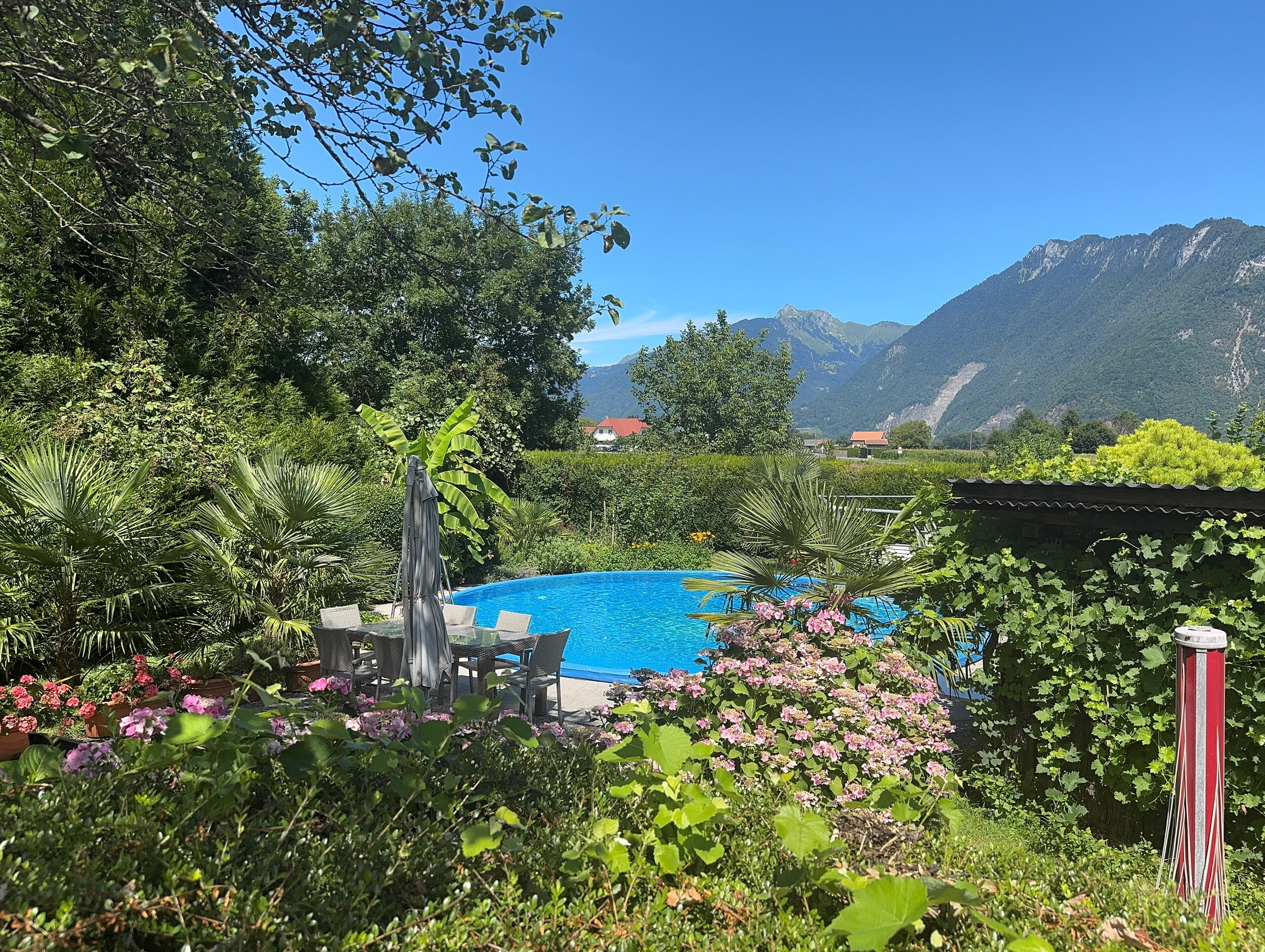 Garten mit Pool und Bergblick