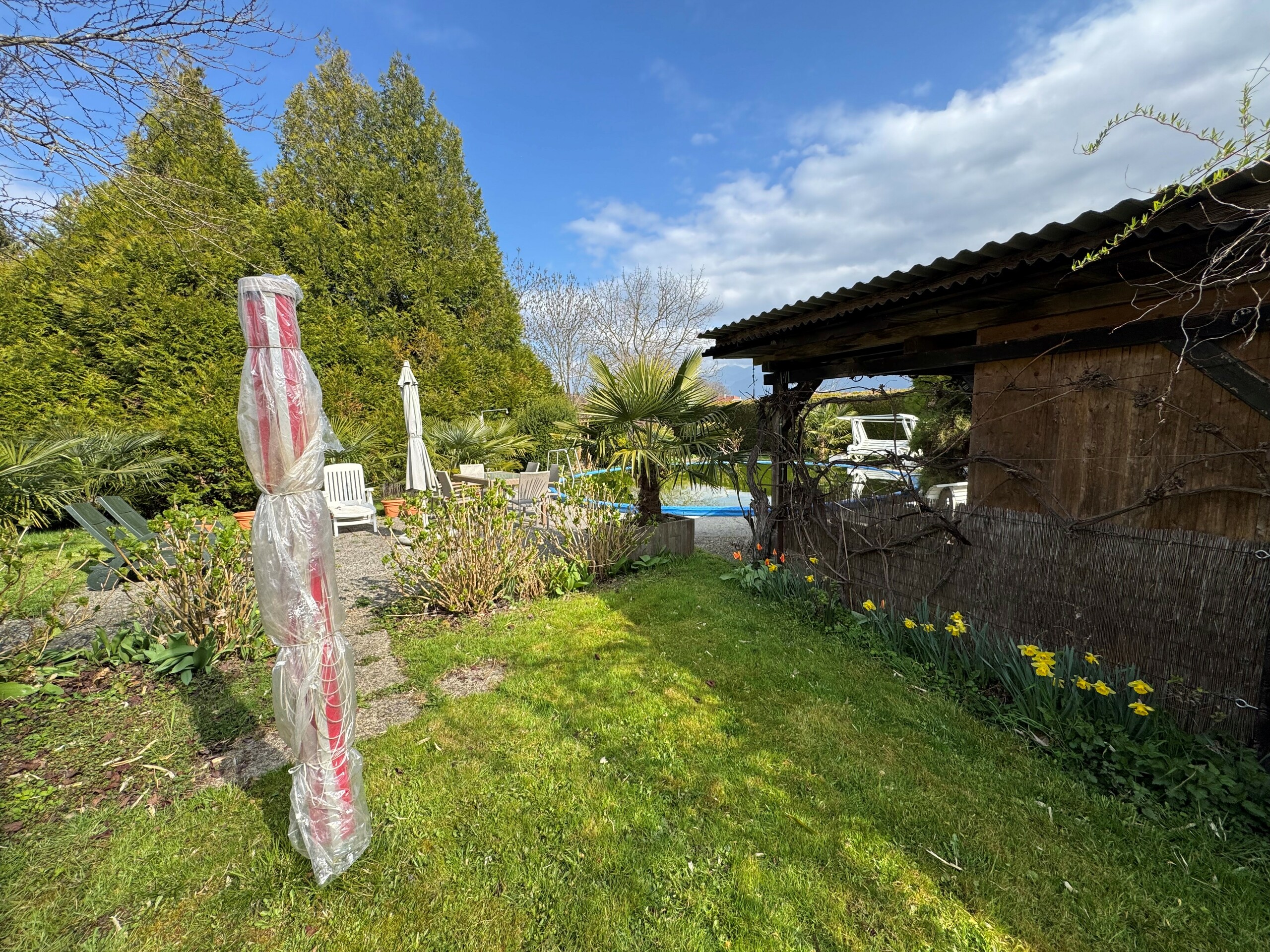 Garten mit Pool und Pergola