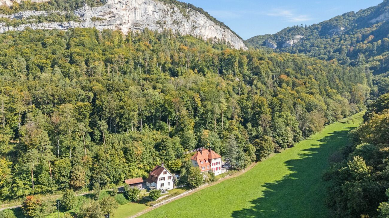 Luftaufnahme eines Talgrundstücks mit Häusern am Waldrand