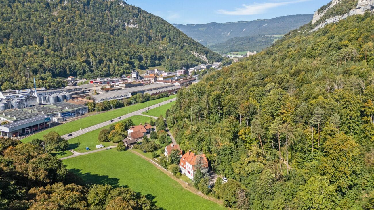 Luftaufnahme eines grünen Tals zwischen bewaldeten Bergen