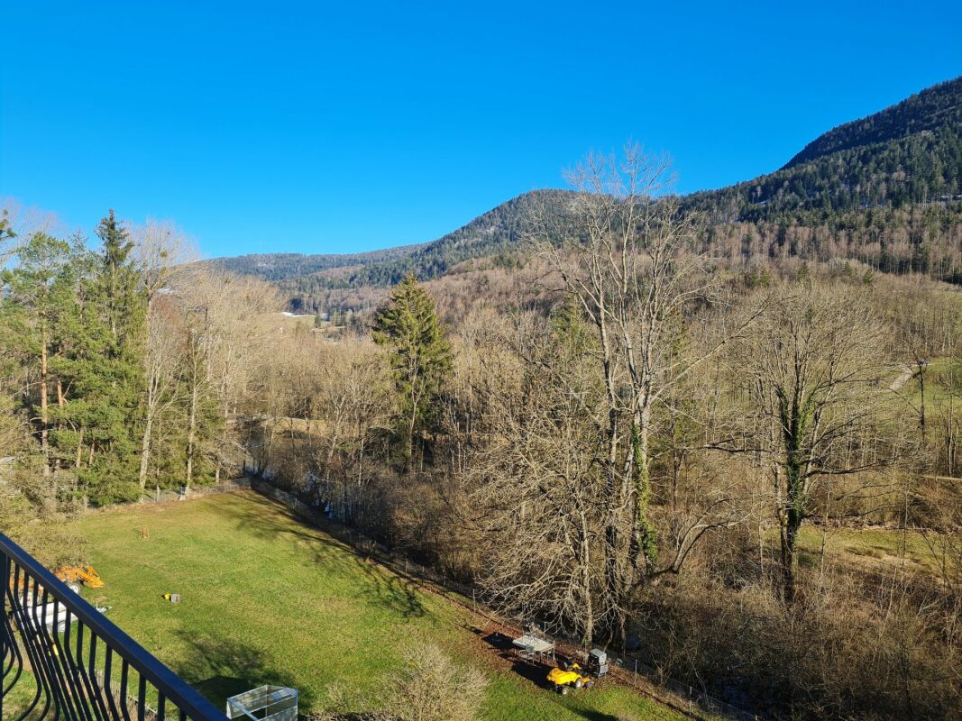 Bergblick vom Balkon