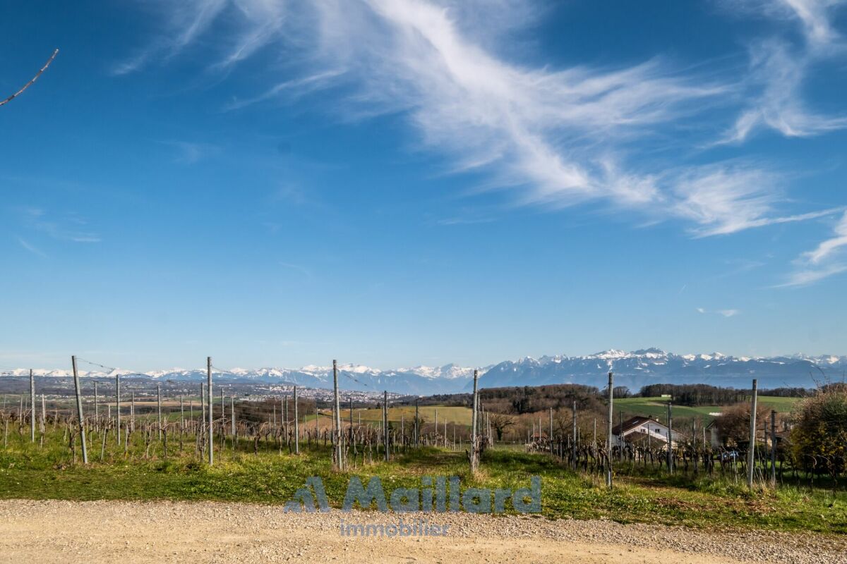 Landschaft mit Weinbergen und Bergpanorama