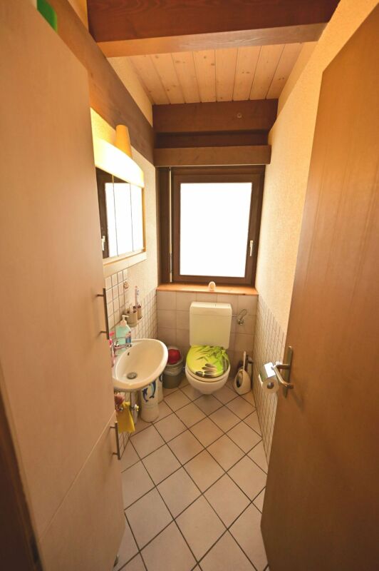 Kleines Gäste-WC mit Dachfenster