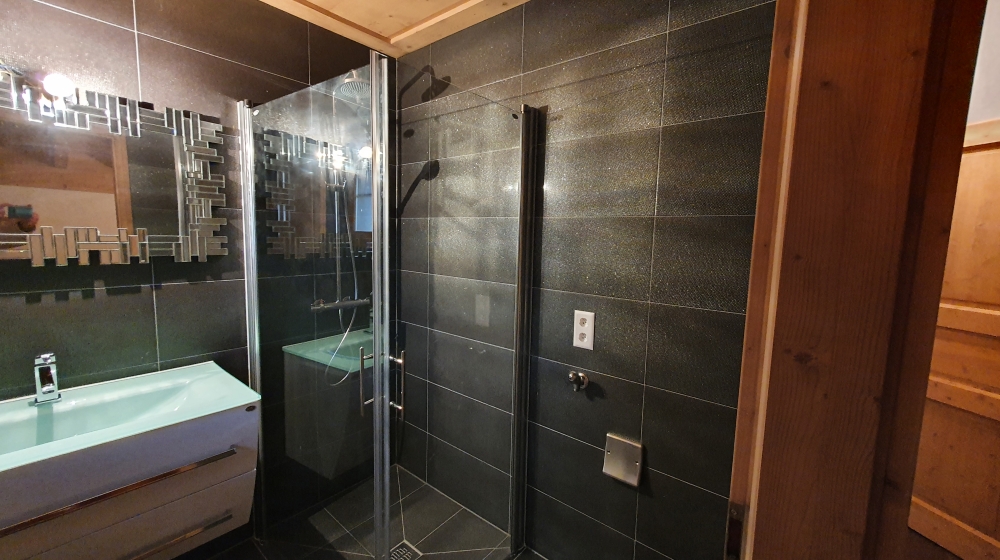 Modernes Badezimmer mit dunklen Fliesen und Glasdusche