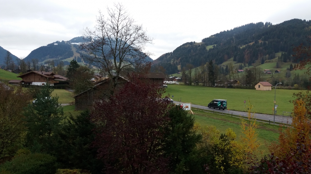 Alpenlandschaft mit Wiesen und Bergen
