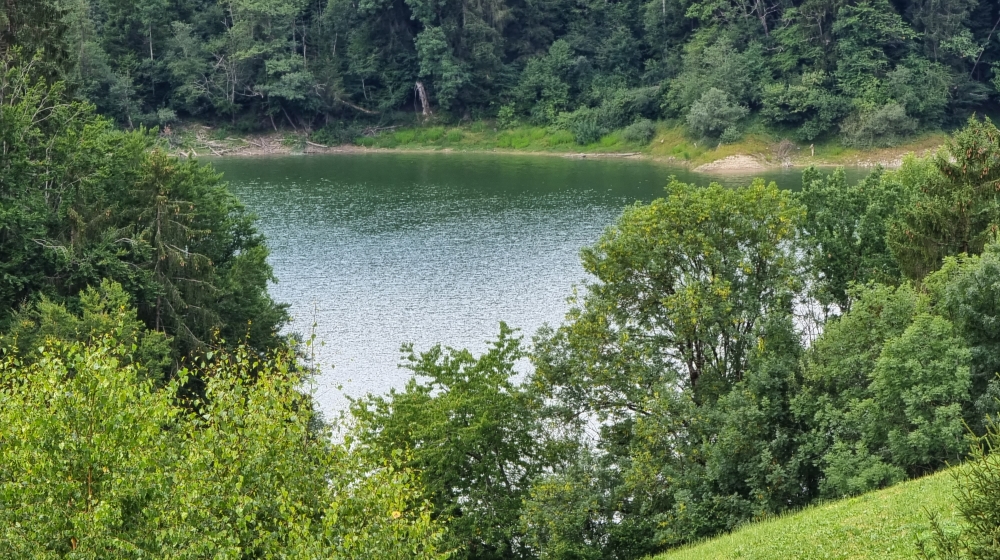 See- und Waldblick