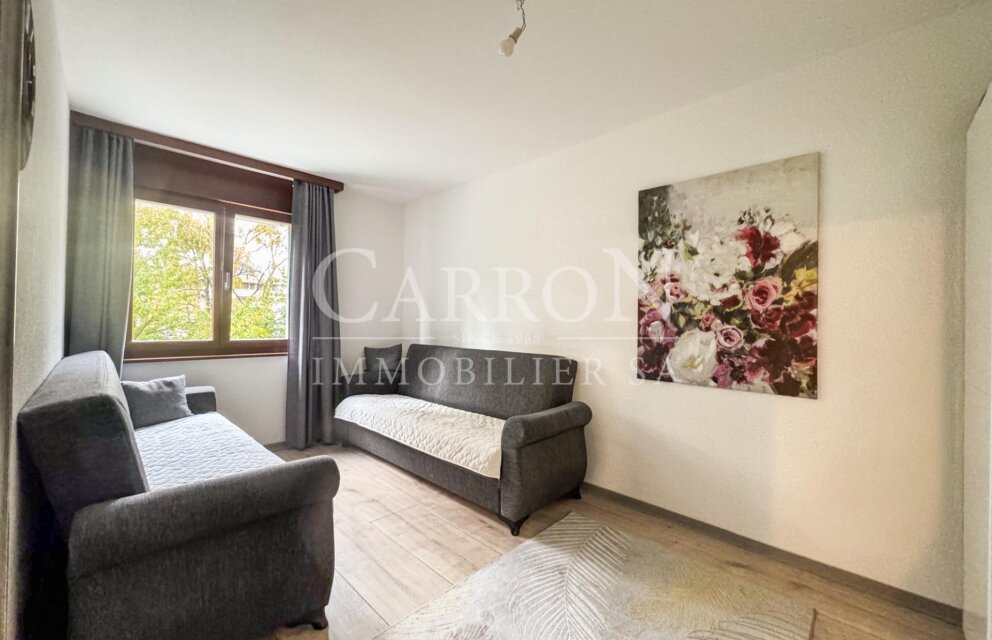 Wohnzimmer mit zwei Schlafsofas