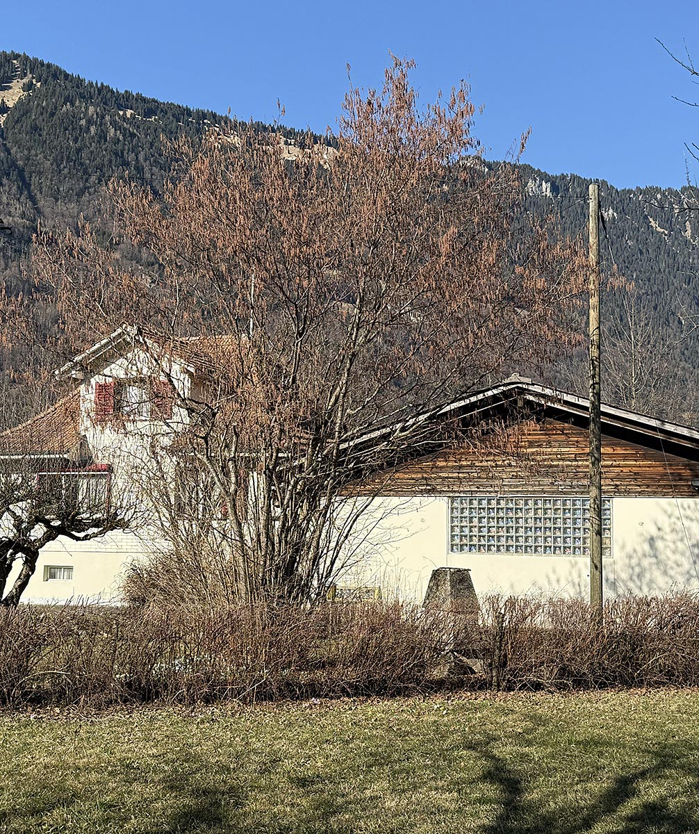 Wohnhaus in alpiner Umgebung