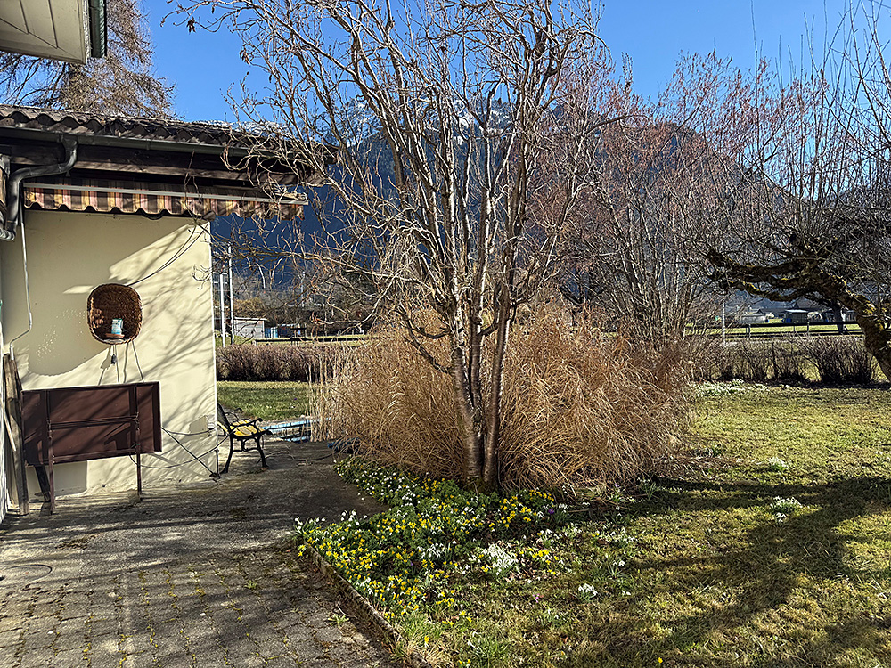 Garten mit Terrasse am Haus