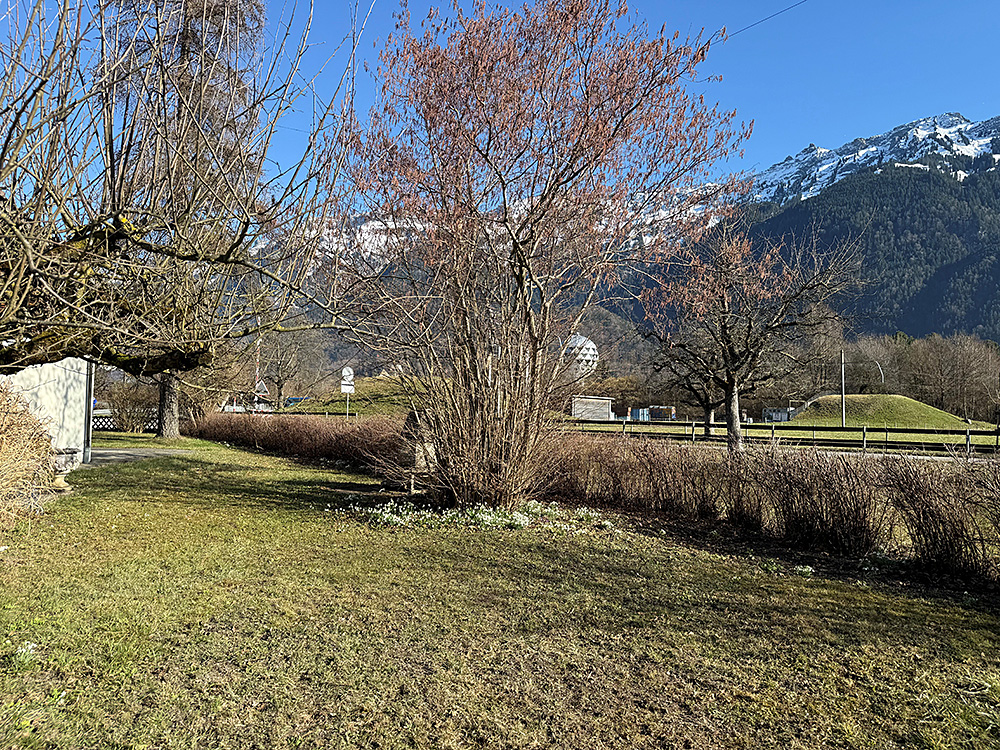 Bergblick über eine Grünfläche