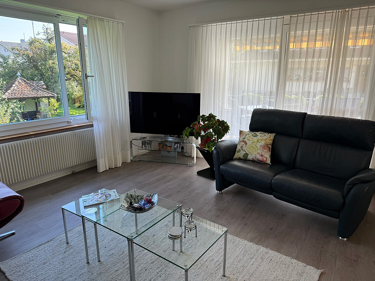 Heller Wohnraum mit Sofa und Fernseher