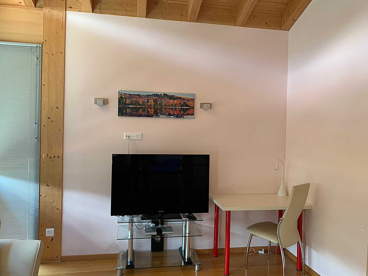 Wohnraum mit TV-Ecke und Arbeitstisch