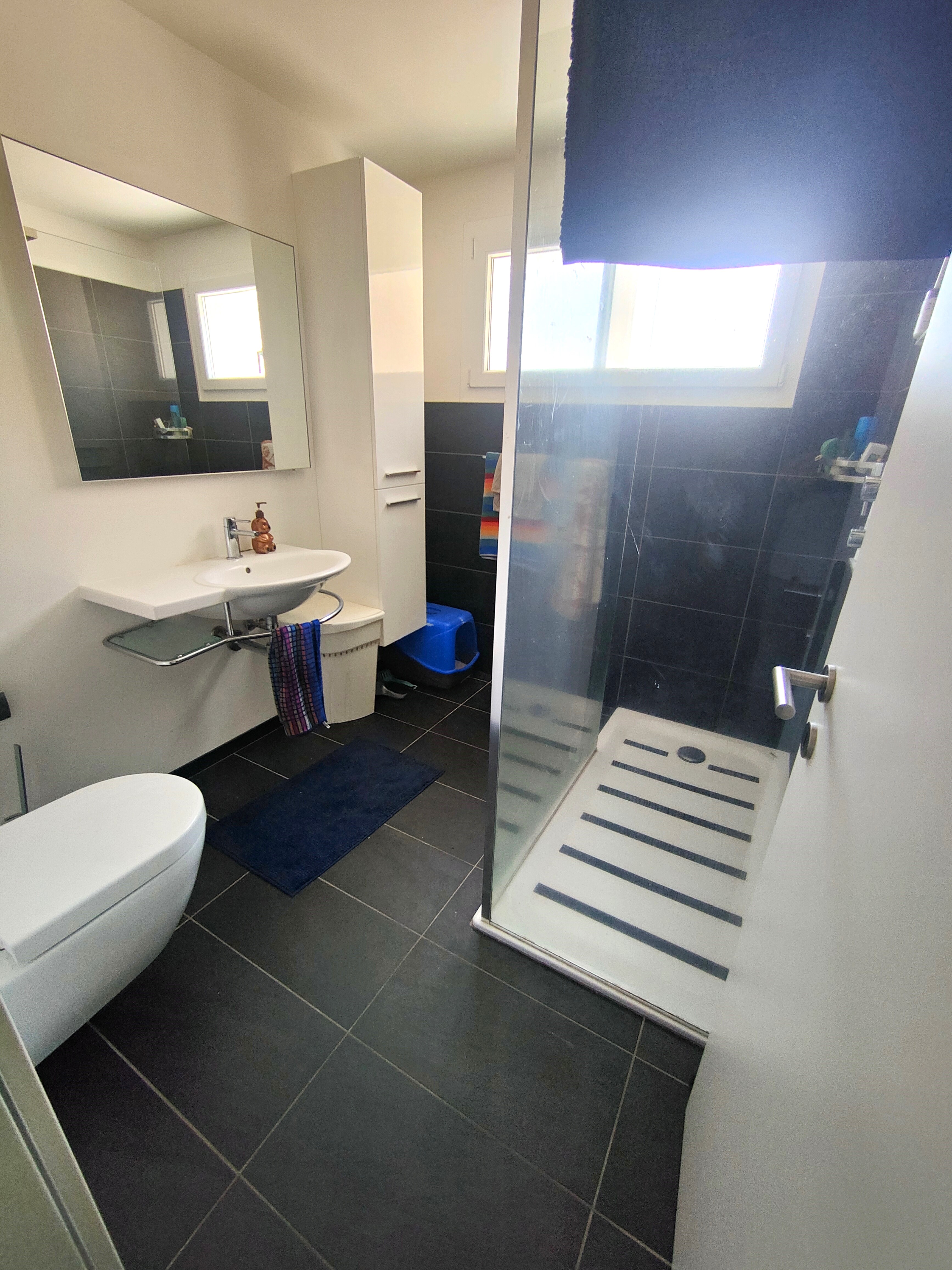 Modernes Badezimmer mit Dusche und Fenster