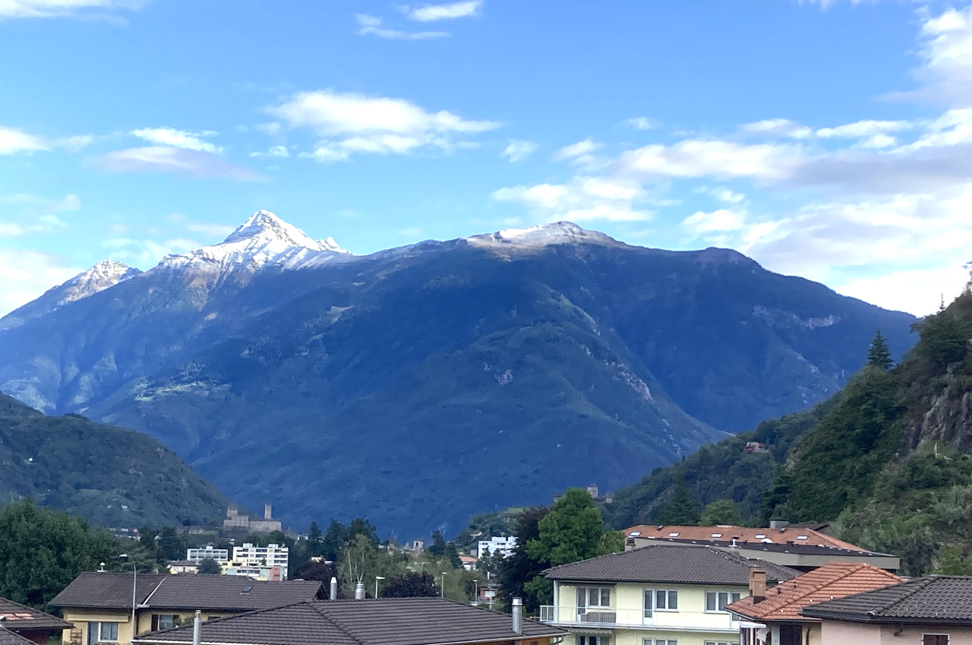Bergpanorama über Wohngebiet