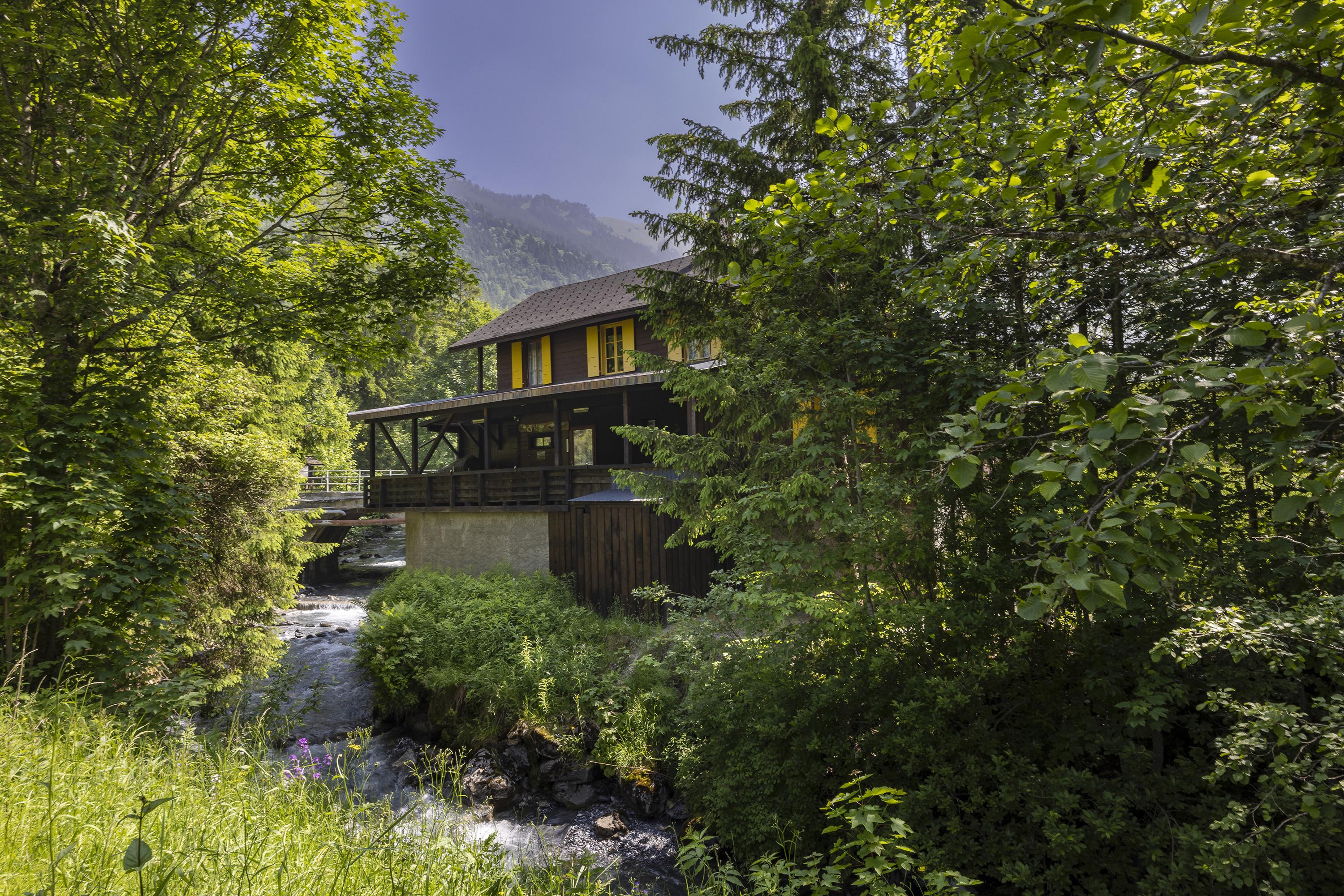 Berghaus am Bach im Grünen