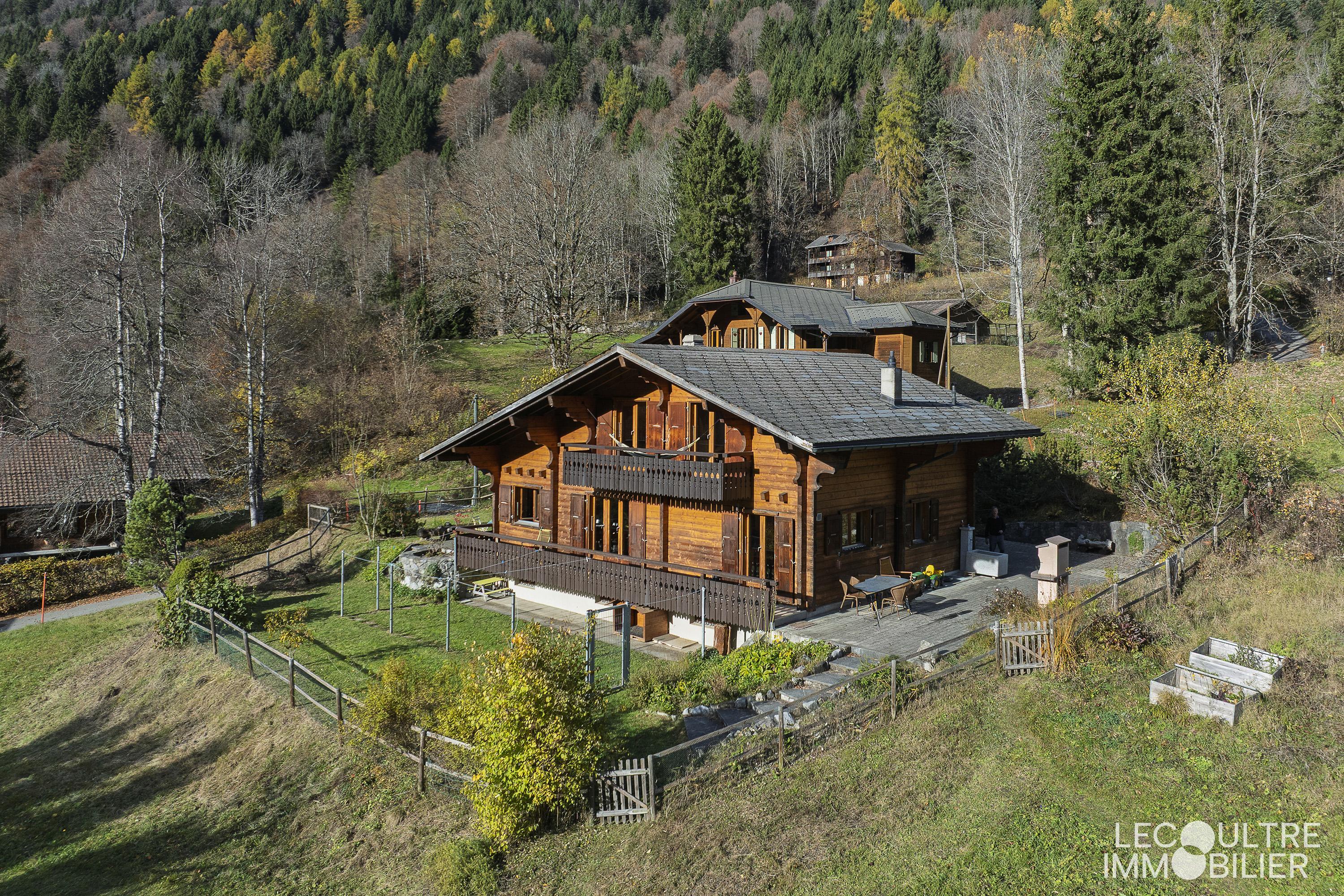 Alpines Holzchalet in Hanglage