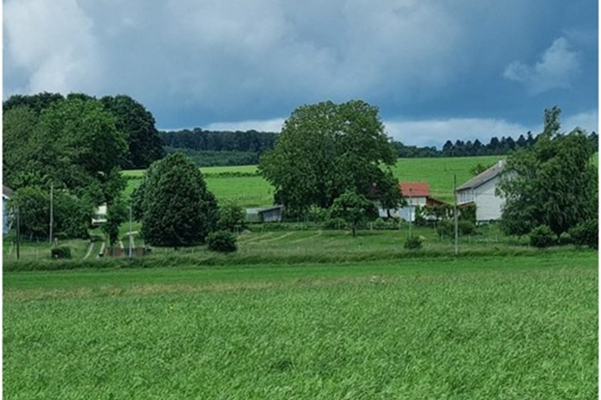 Ländliche Landschaft mit Wiesen und Bauernhäusern