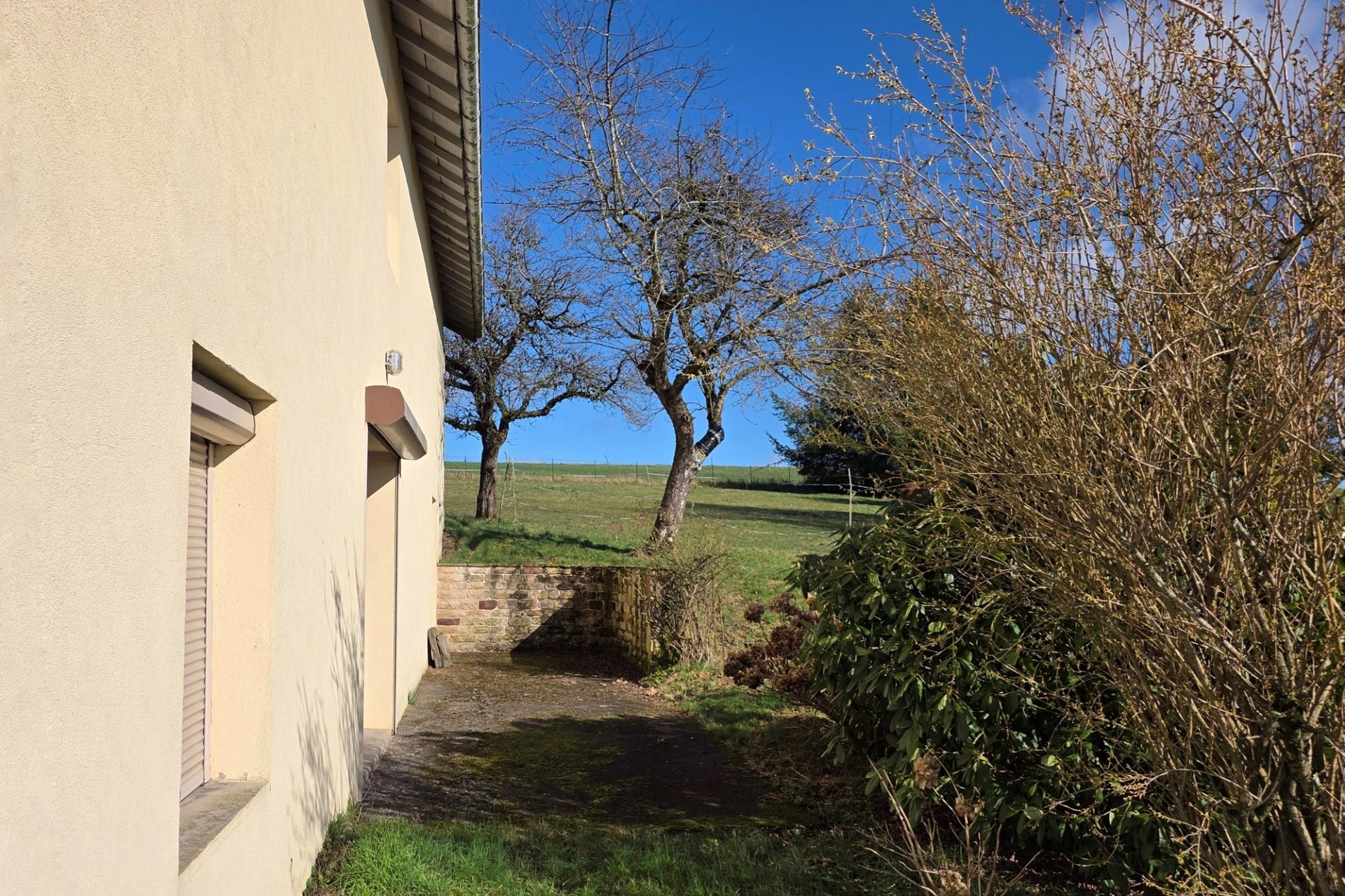 Außenansicht eines Hauses mit Garten