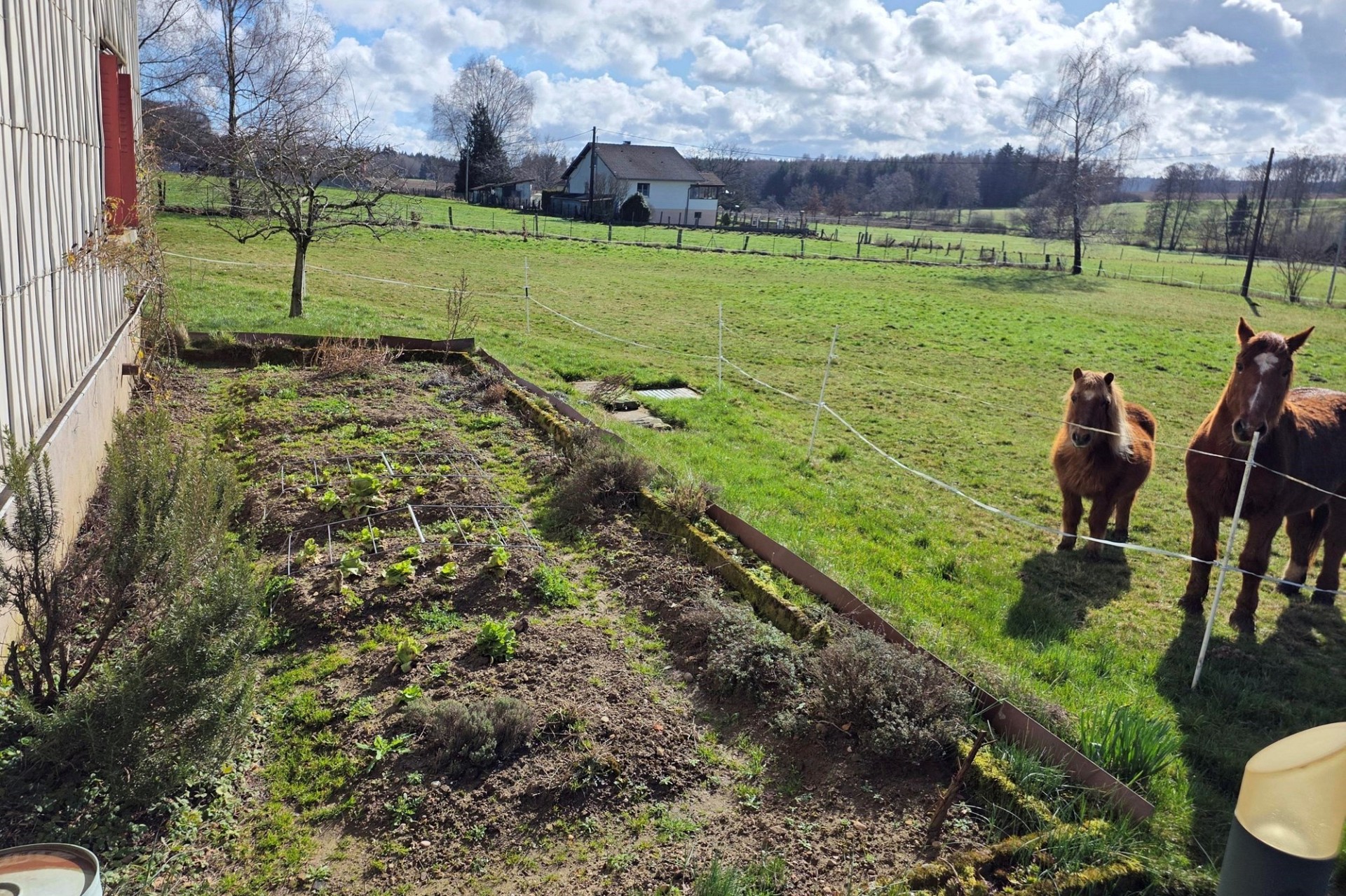 Ländlicher Garten mit Weide und Pferden
