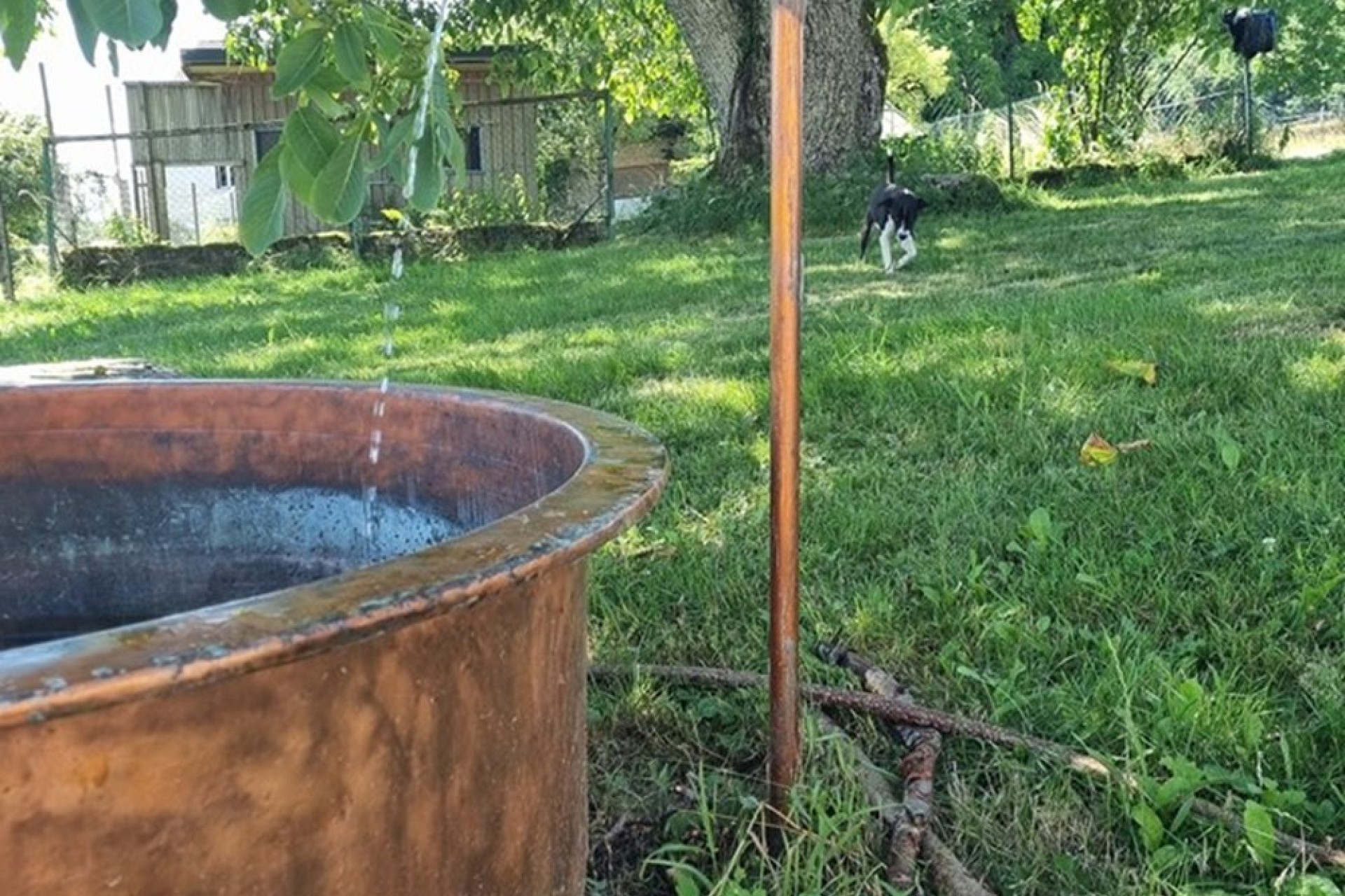 Garten mit Brunnen