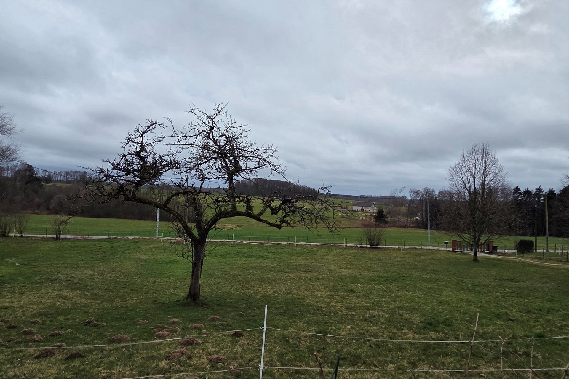 Ländliche Grünfläche mit weitem Ausblick