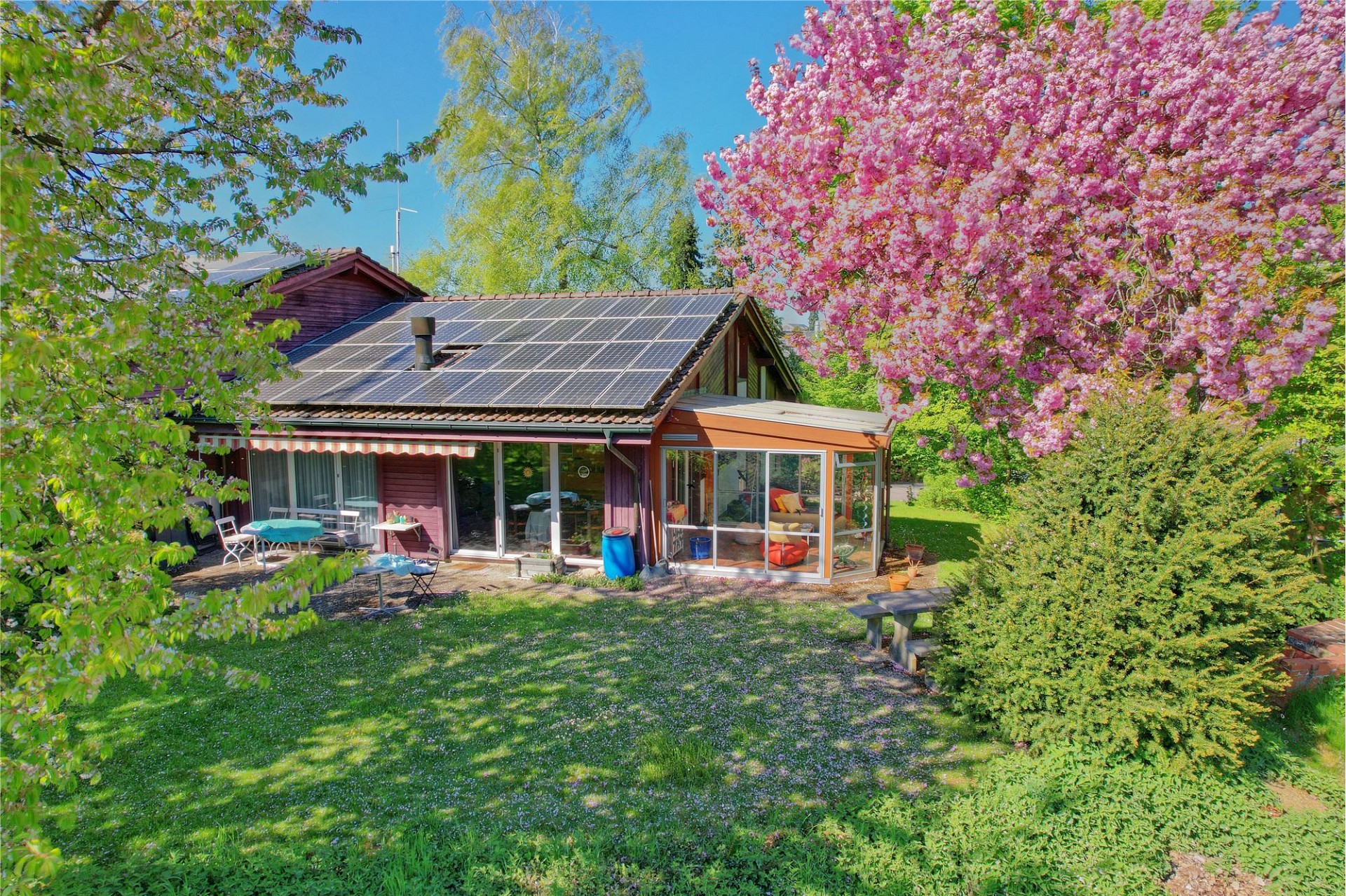 Gartenansicht eines Hauses mit Solardach und blühendem Baum