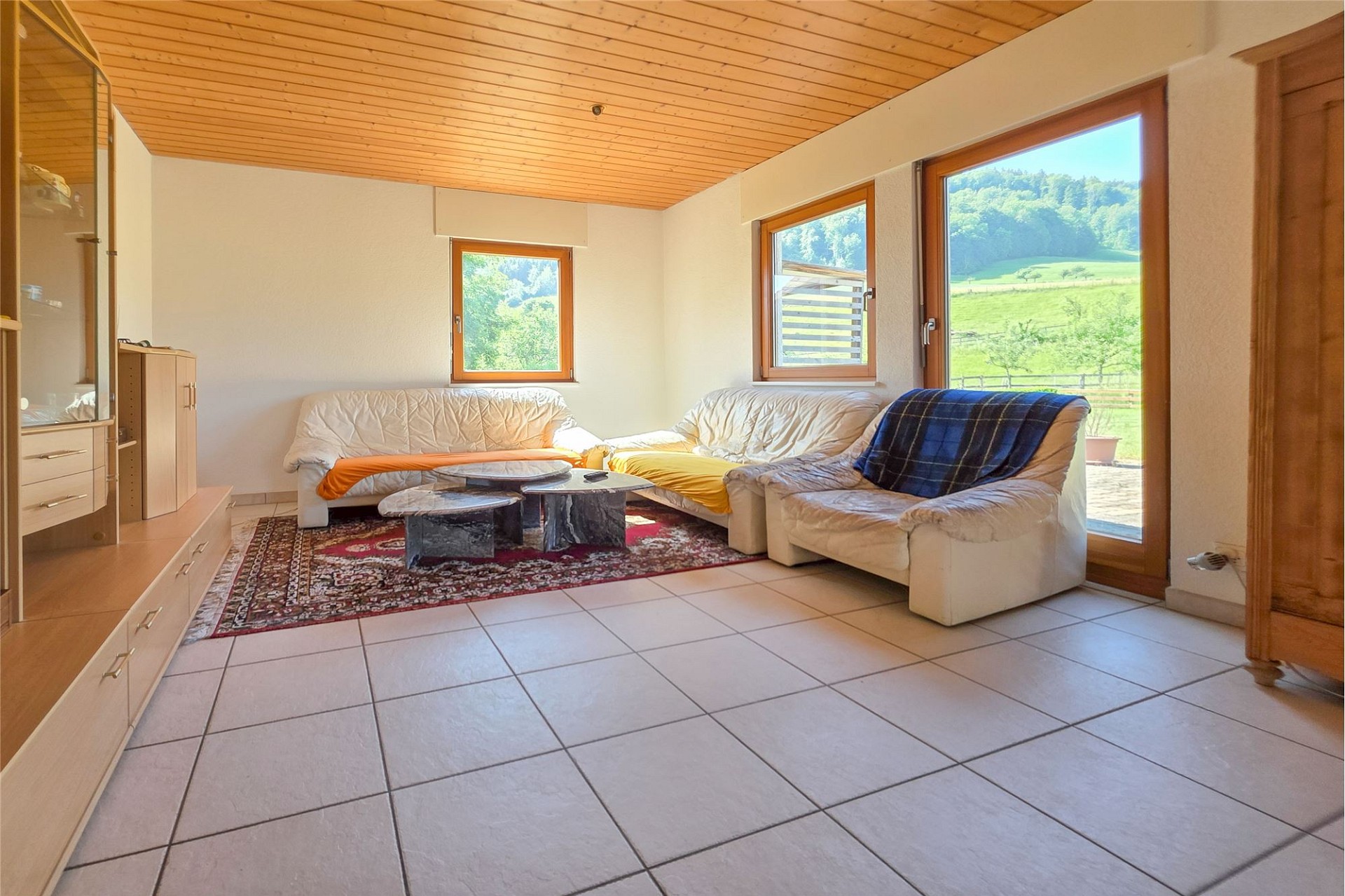 Helles Wohnraum mit Panoramafenstern