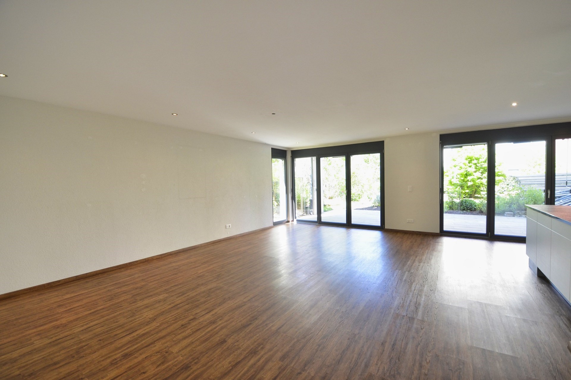 Großer leerer Wohnraum mit Terrassenzugang
