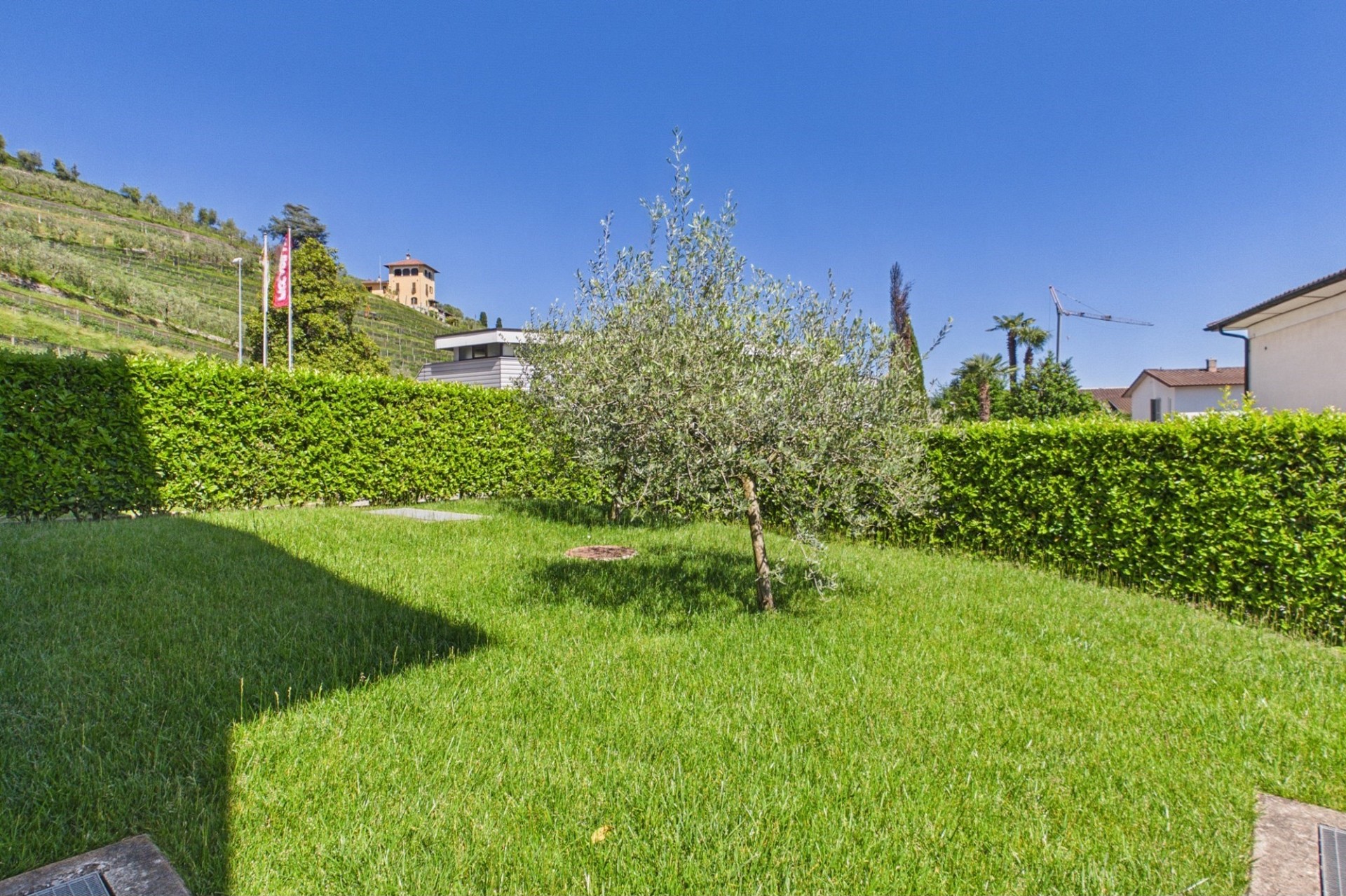 Gepflegter Garten mit Rasen und Hecken