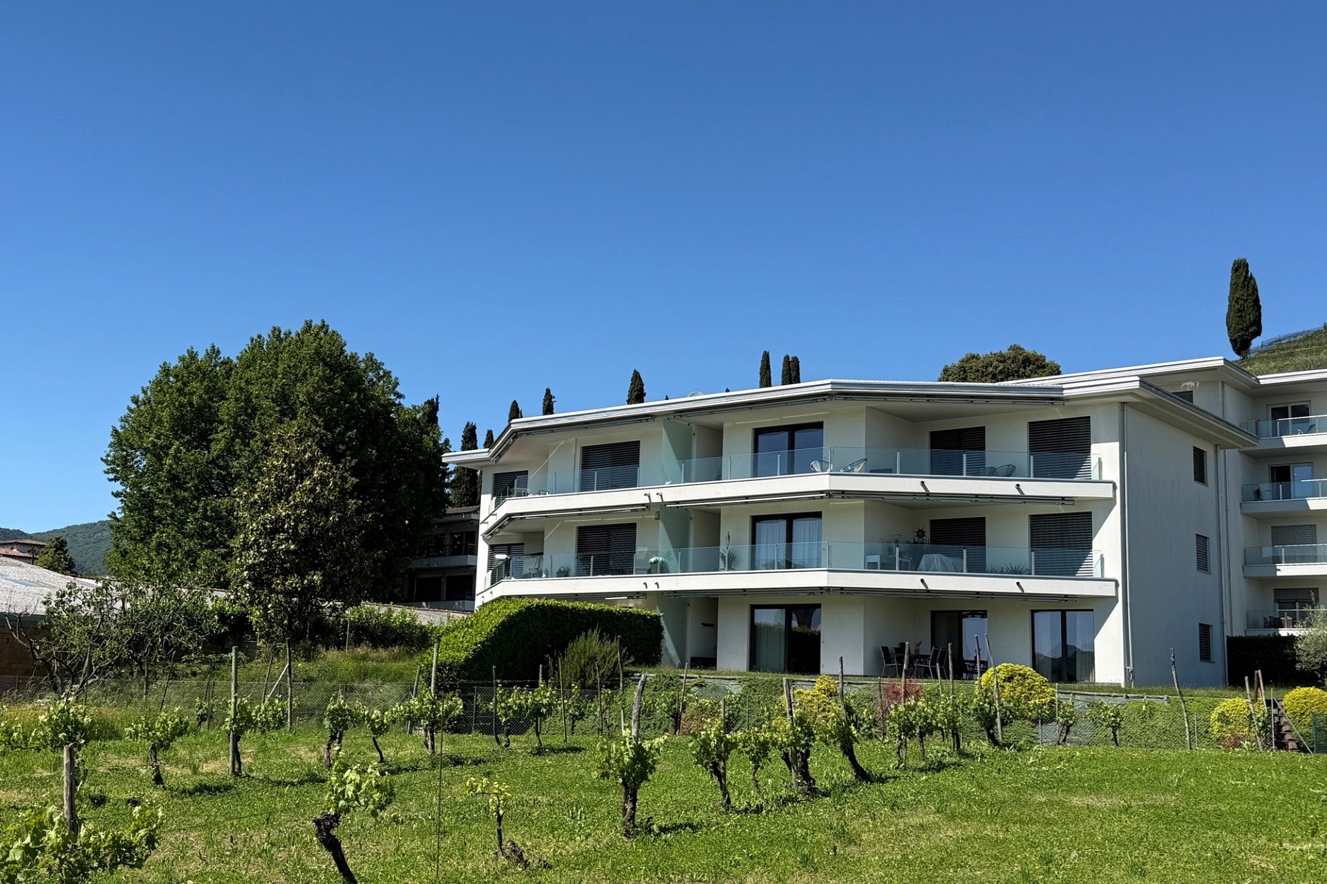 Modernes Mehrfamilienhaus mit Balkonen und Garten