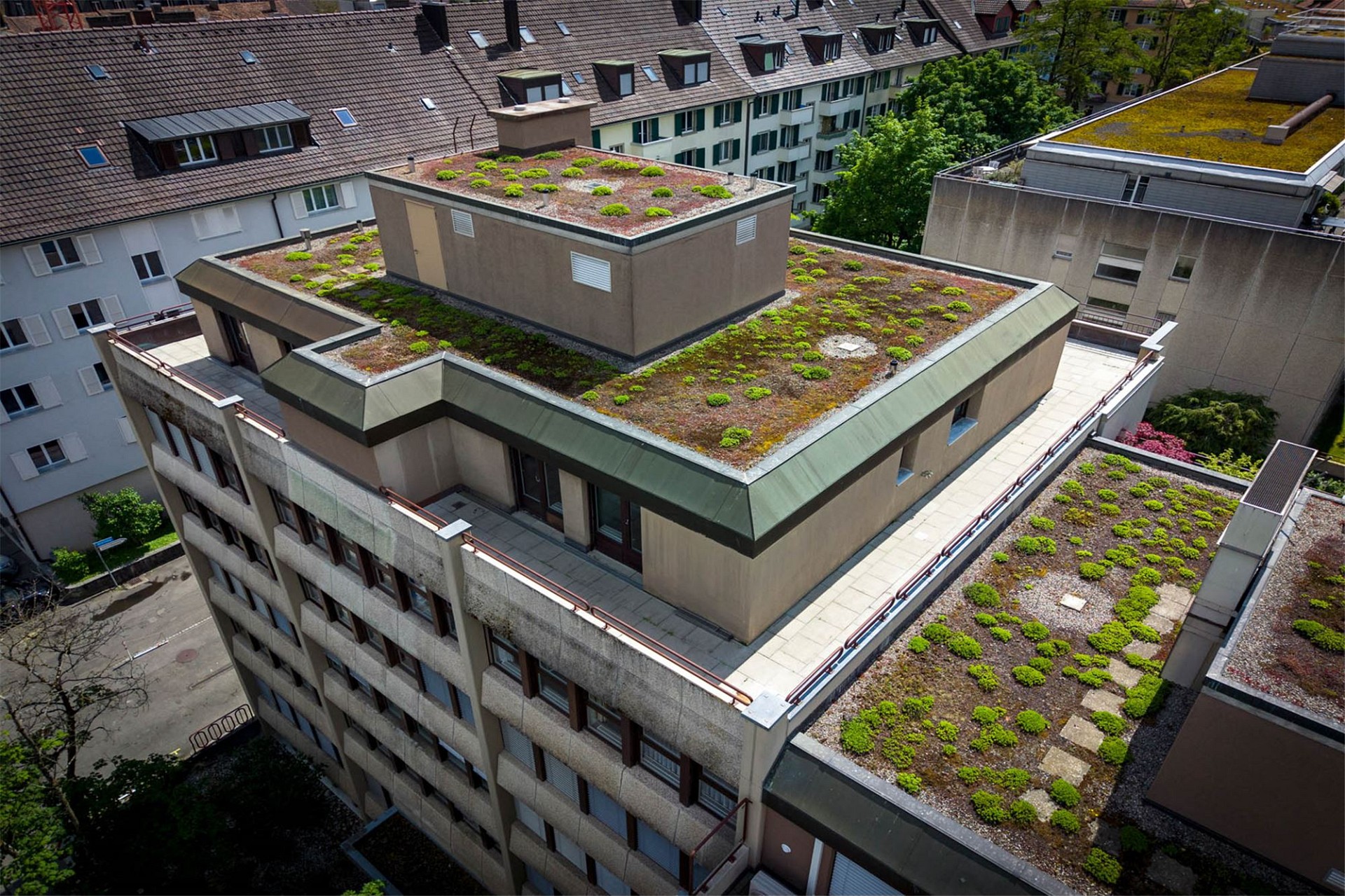Dachansicht eines urbanen Mehrfamilienhauses mit Gründach