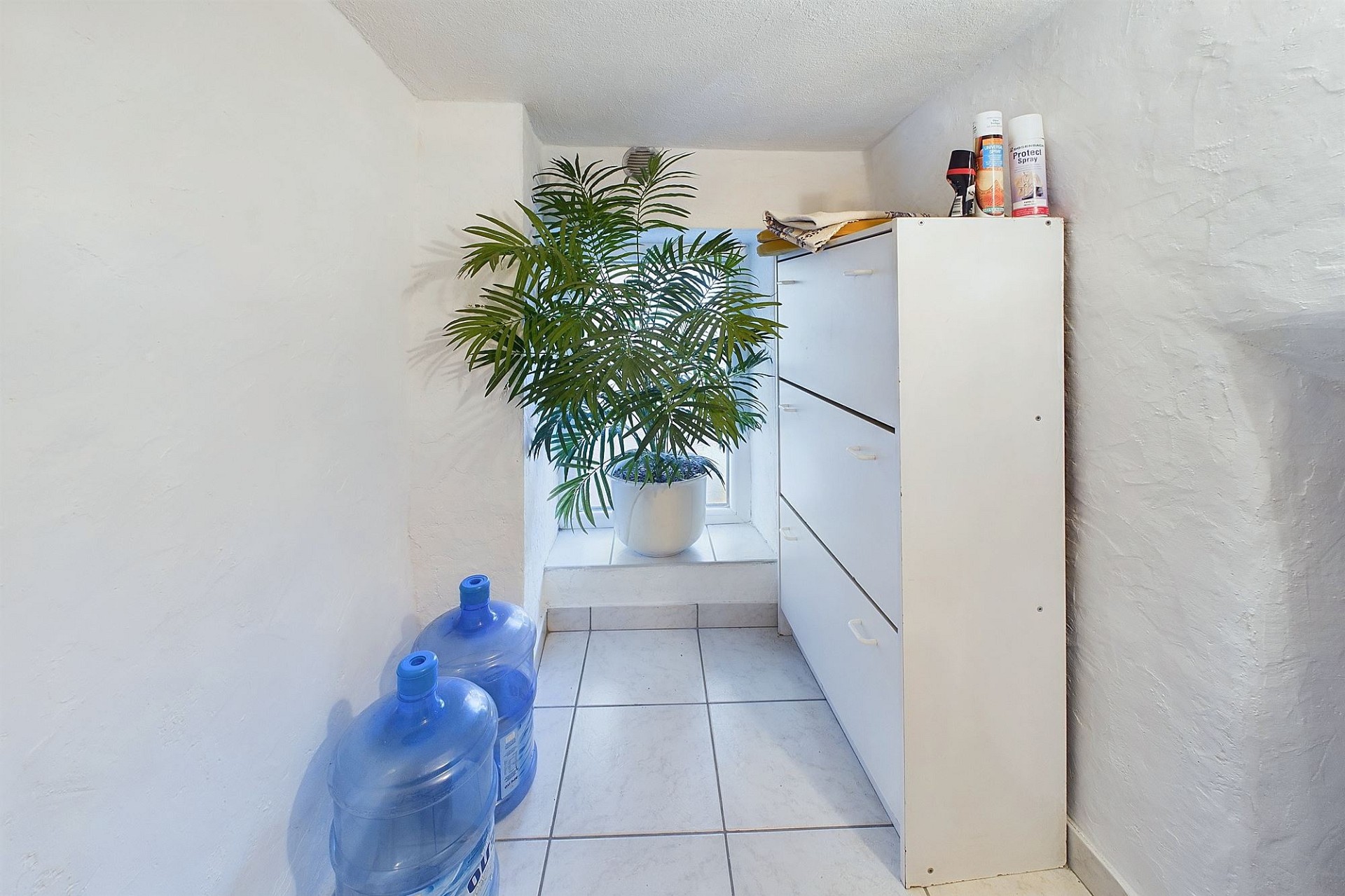 Kleiner Abstellraum mit Fenster, Schrank und Pflanzen