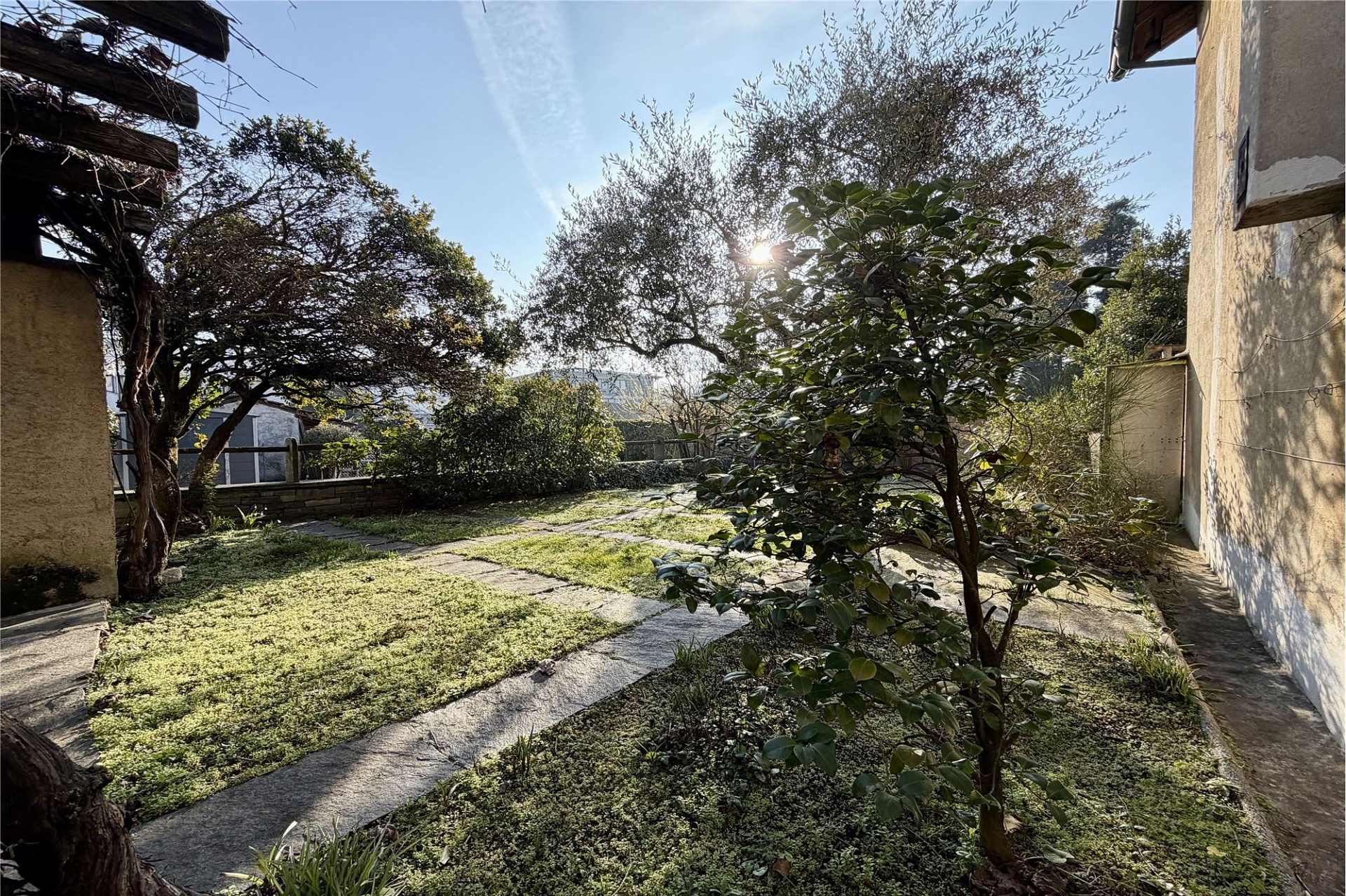 Gartenhof mit Bäumen und Wegplatten