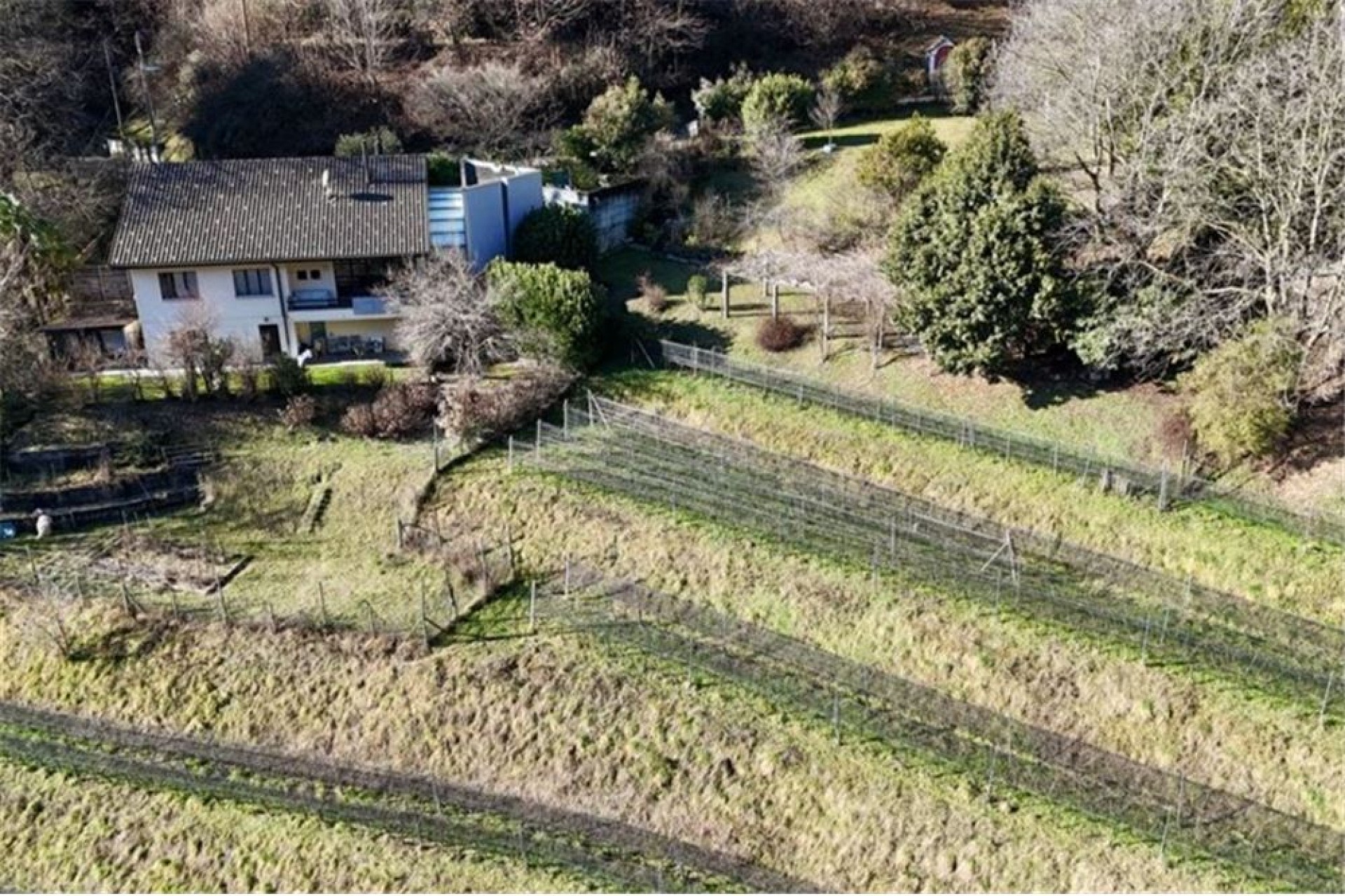 Luftaufnahme eines Hauses mit großem Gartengrundstück