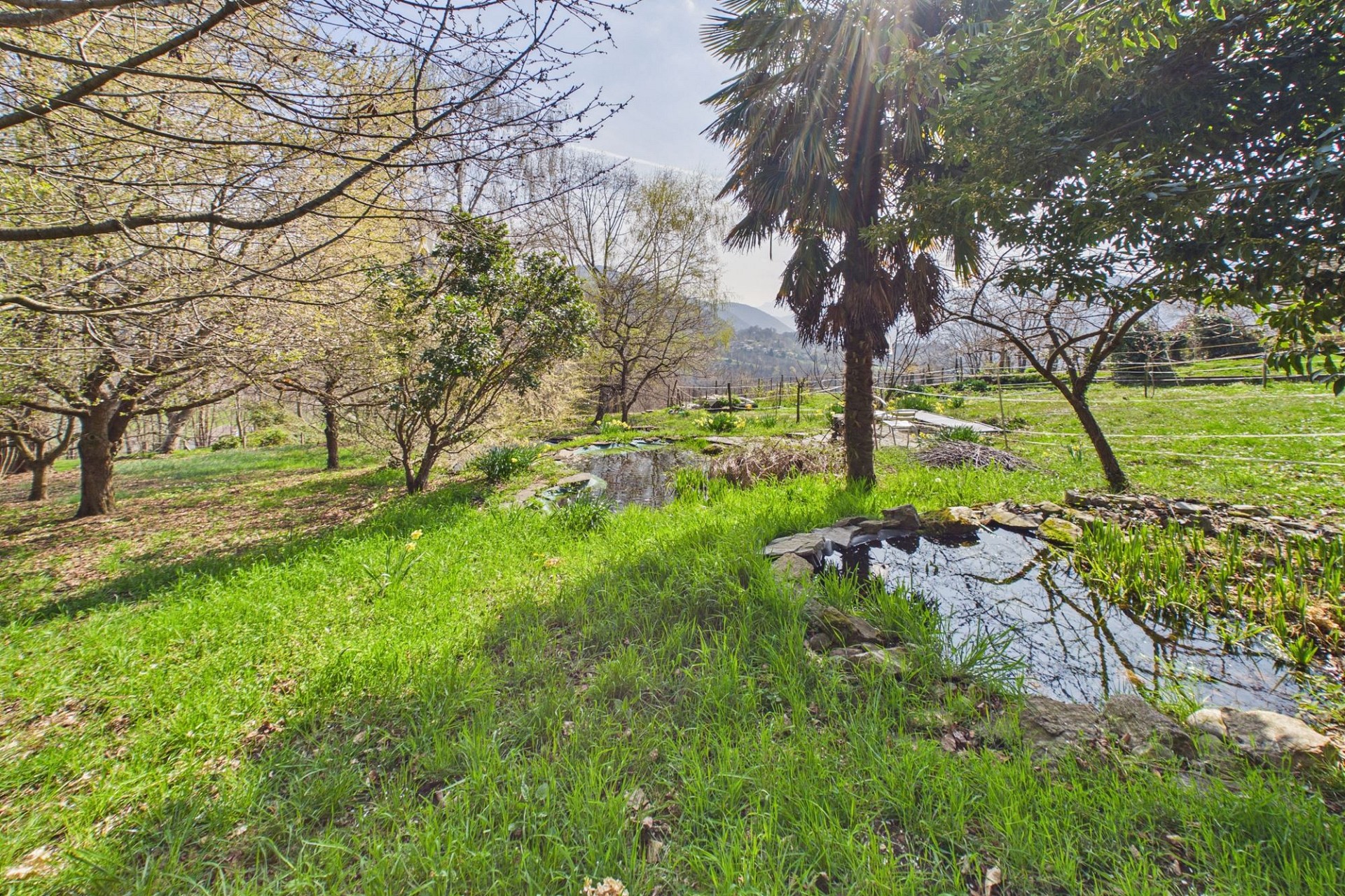 Garten mit Teich und Bäumen
