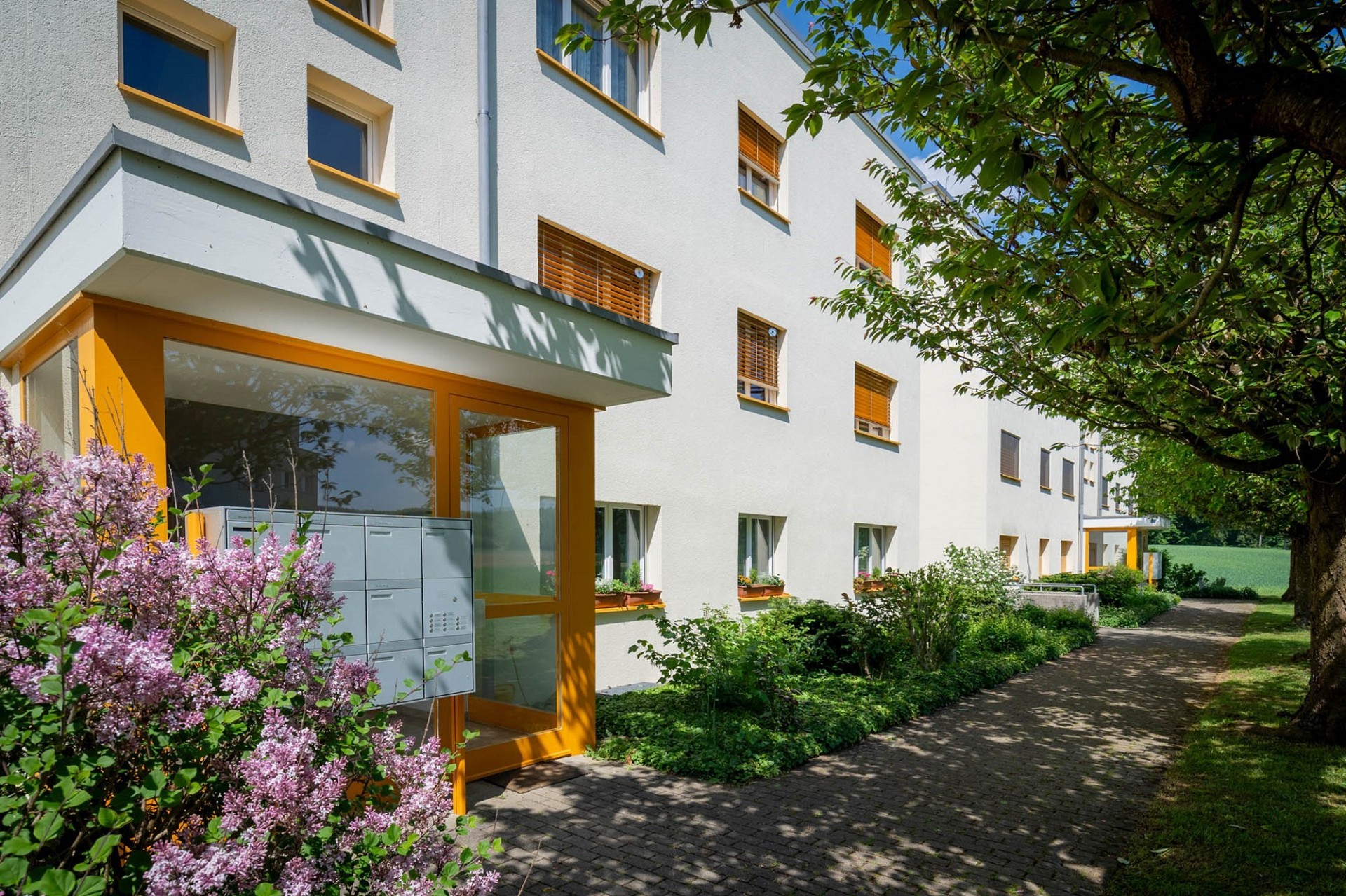 Ihr Traumzuhause in Rütihof, Baden wartet! – Rütihof (Baden)