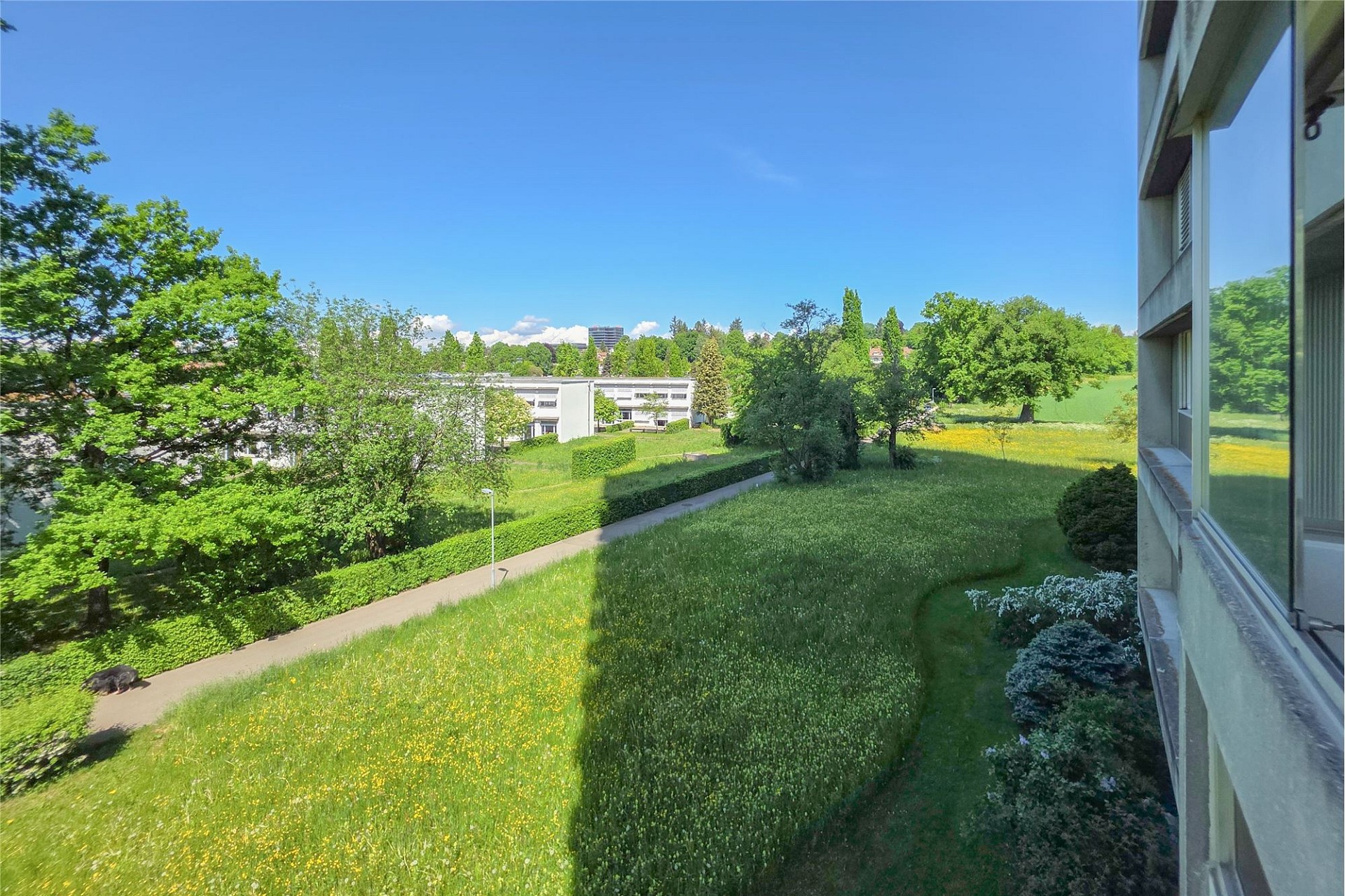 Blick ins Grüne