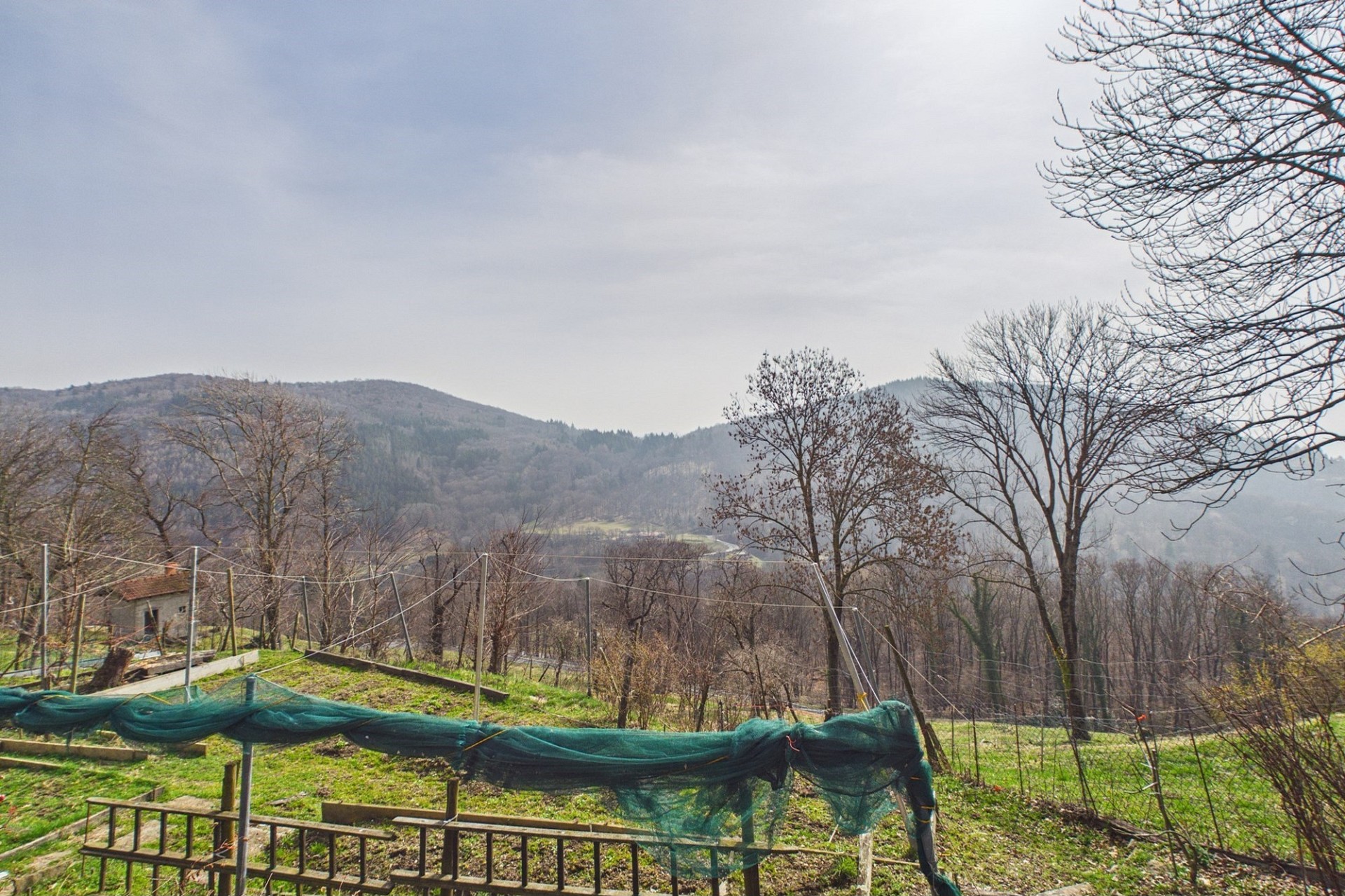 Ländliche Hanglage mit Talblick