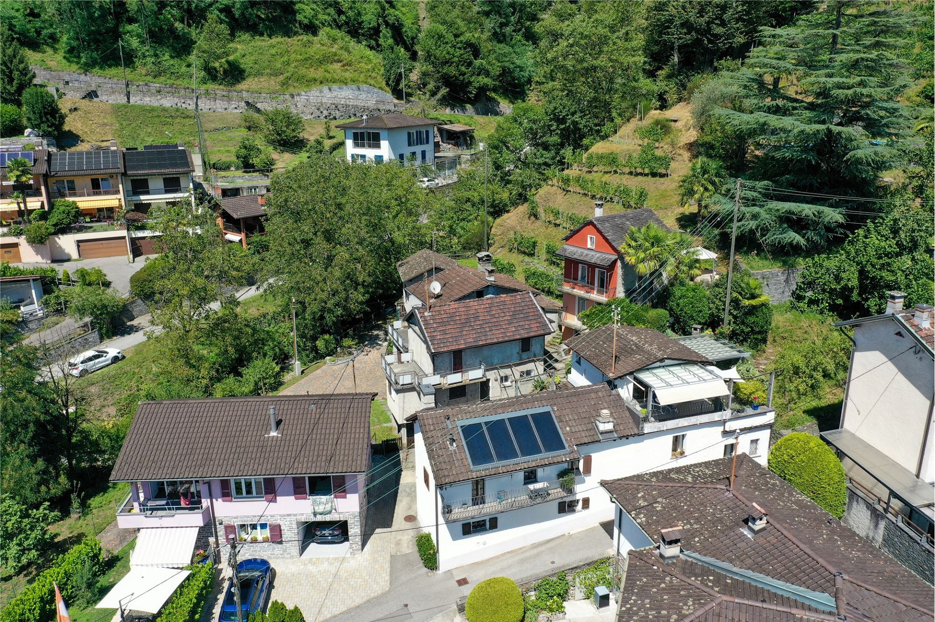 Luftaufnahme eines grünen Wohngebiets