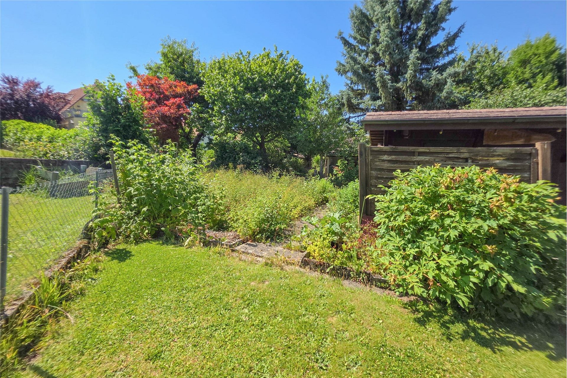 Garten mit dichter Bepflanzung