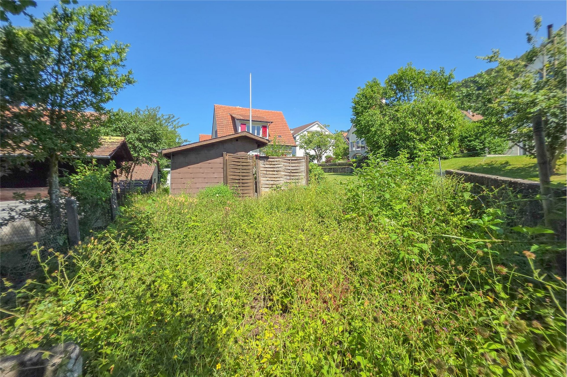 Verwilderter Garten mit Gartenhaus