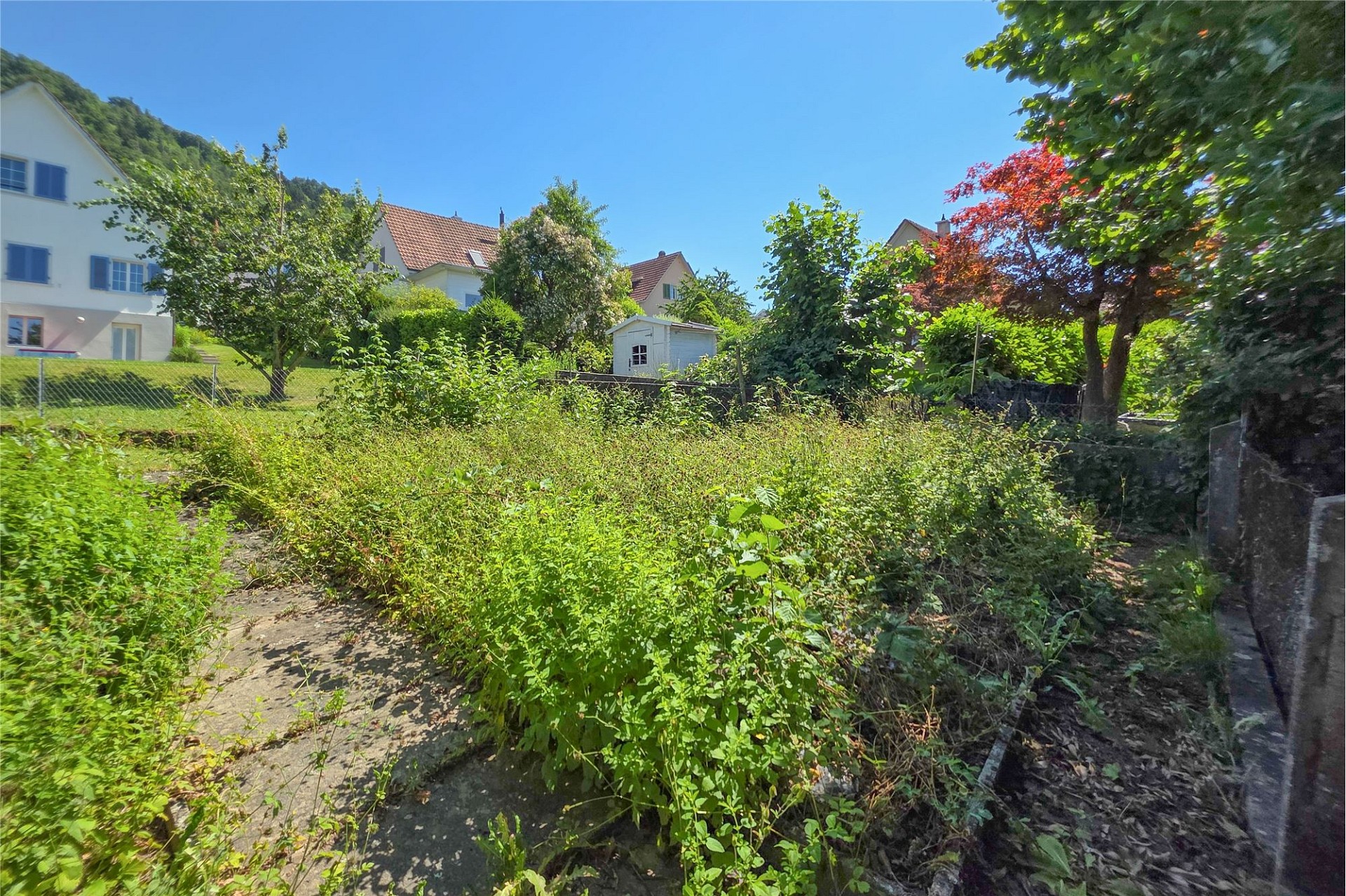 Verwilderter Garten mit Häusern im Hintergrund