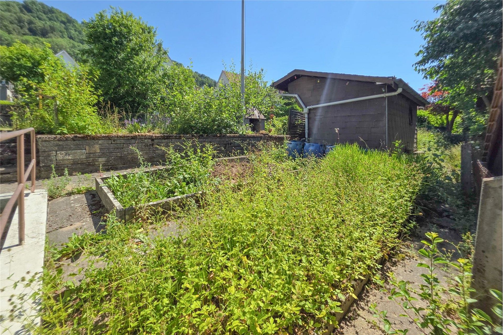 Verwilderter Garten mit Nebengebäude