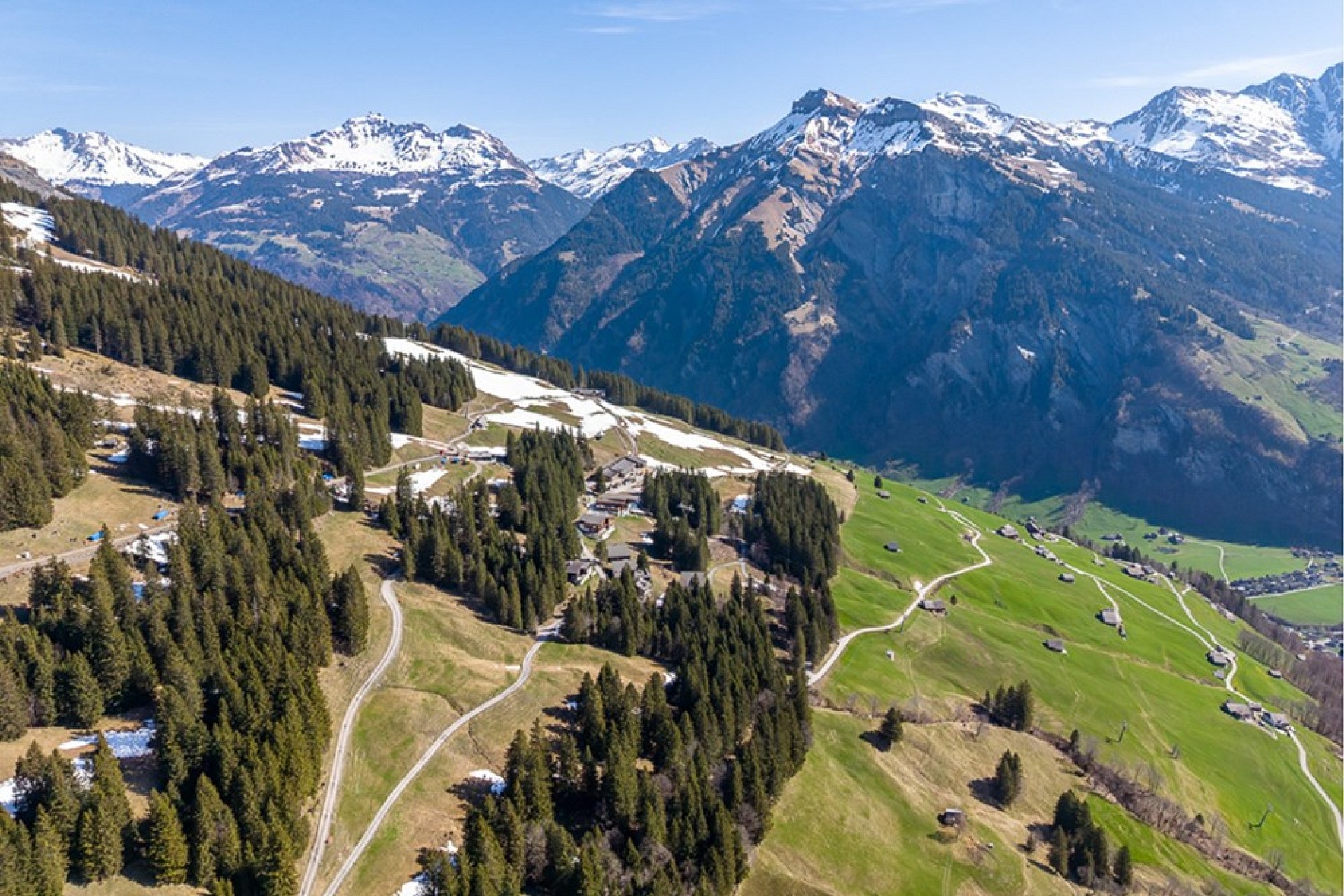 Alpenpanorama mit Bergwiesen