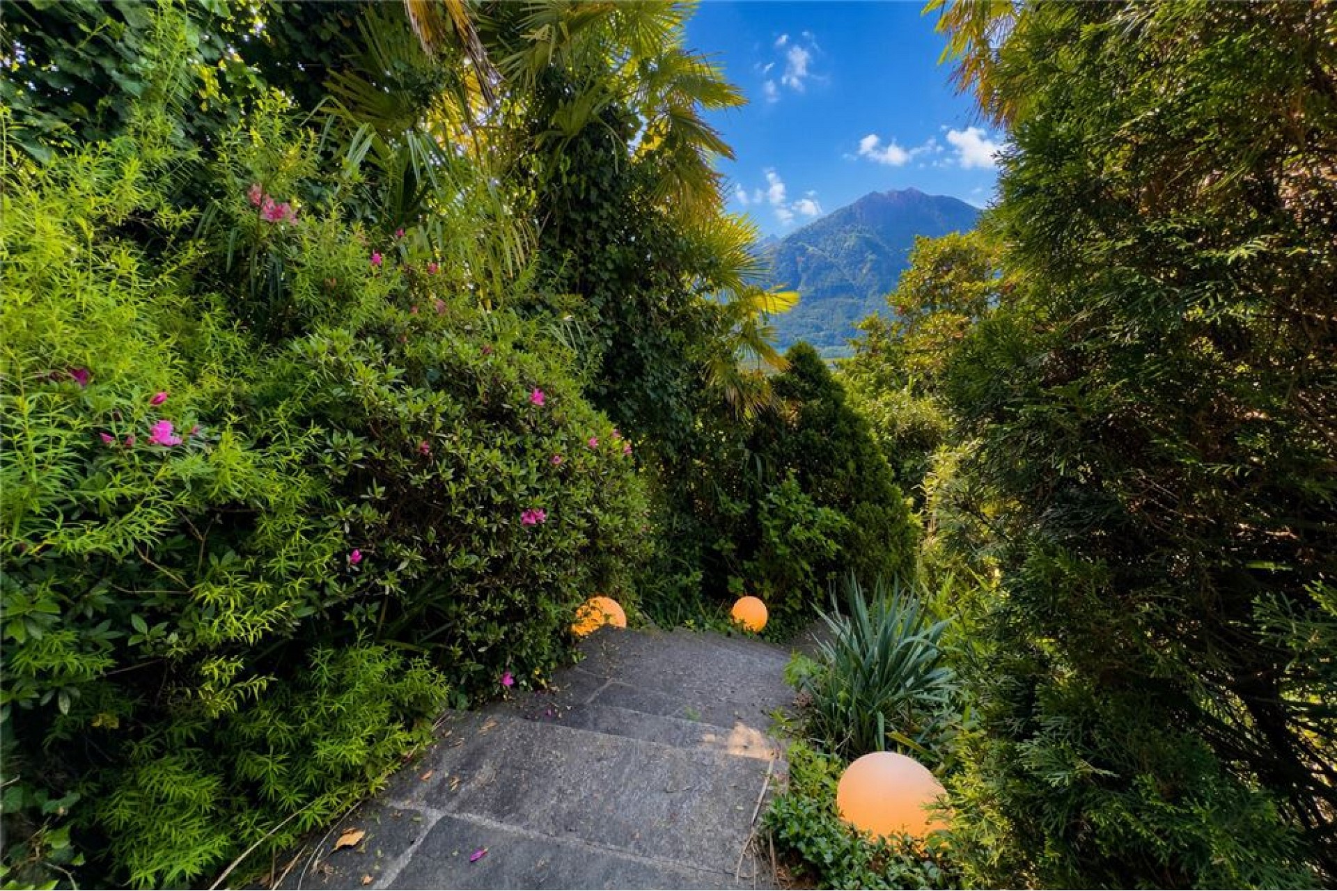Tropischer Gartenweg mit Bergblick
